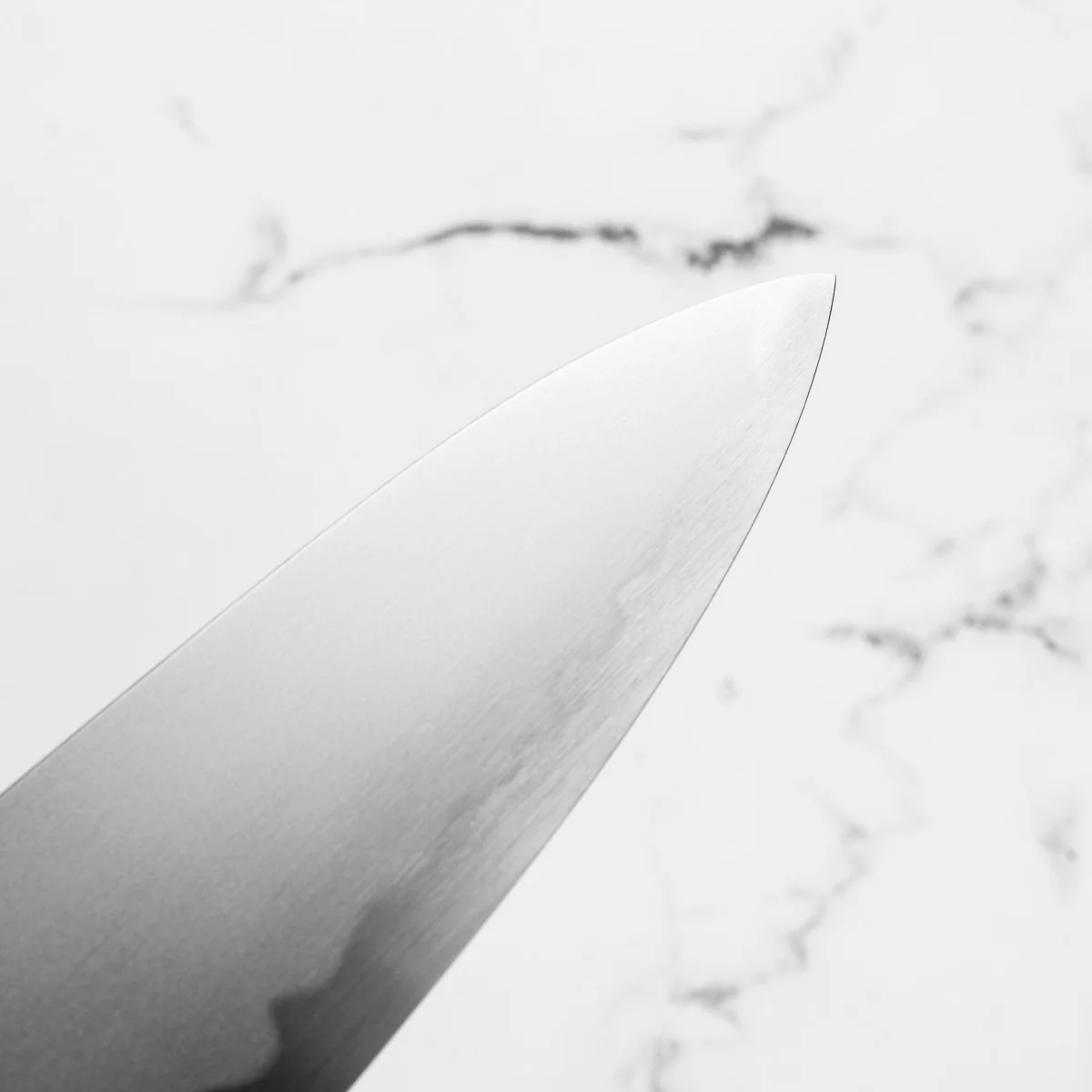 Chef's Edge x Sakai Kikumori Blue 2 Gyuto 225mm - Burnt Oak - Image 8