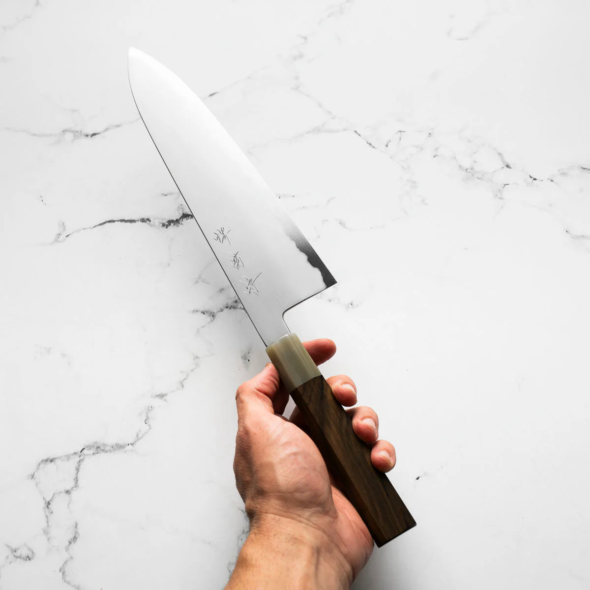 Chef's Edge x Sakai Kikumori Blue 2 Gyuto 255mm - Persimmon - Image 3