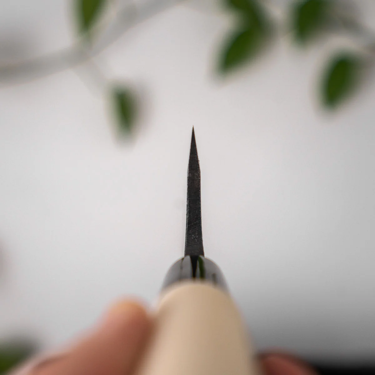 Fukamizu Double Bevel Deba 150mm - Image 5