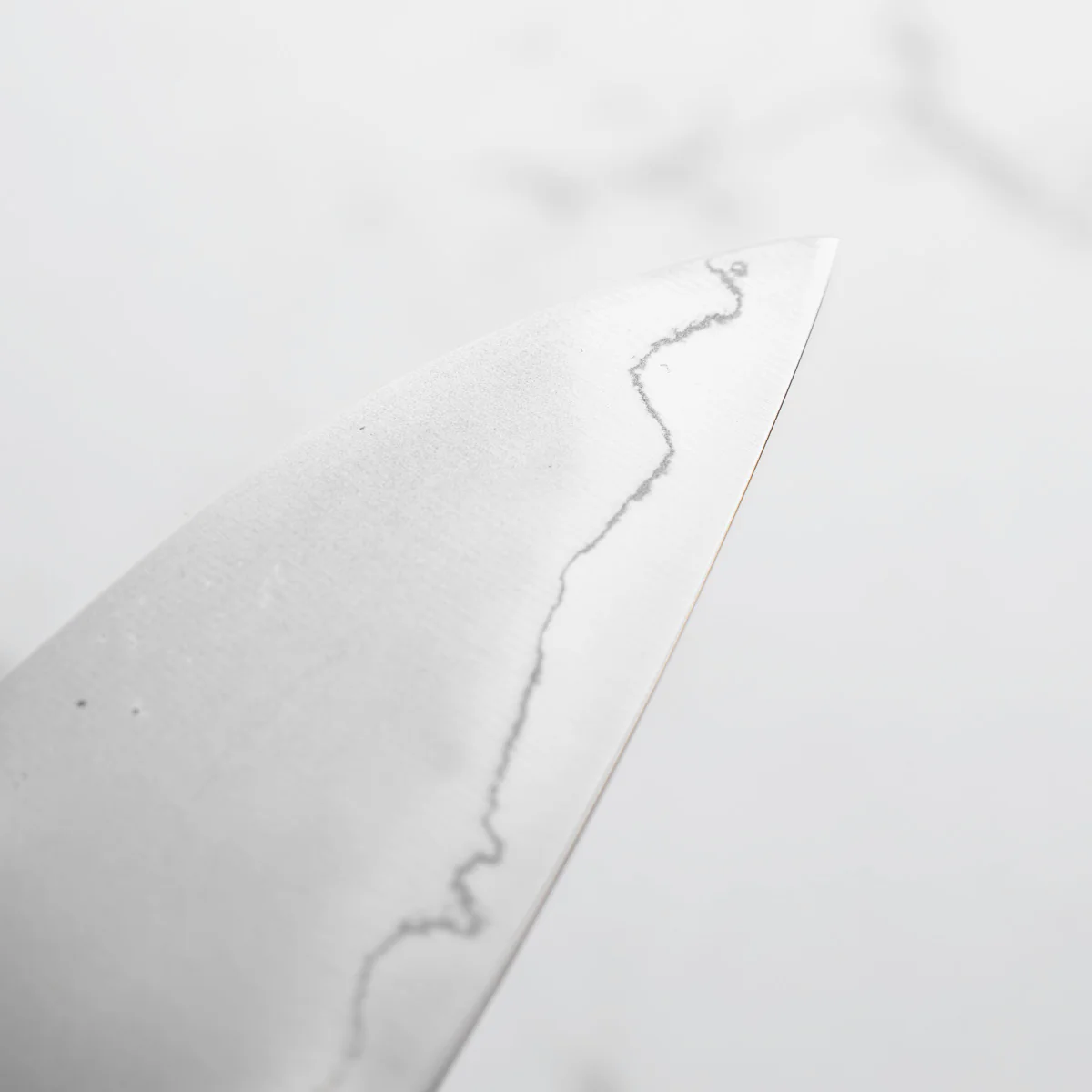 Hajimaru Ginsan Nashiji Gyuto 210mm - Mono Bubinga - Image 6