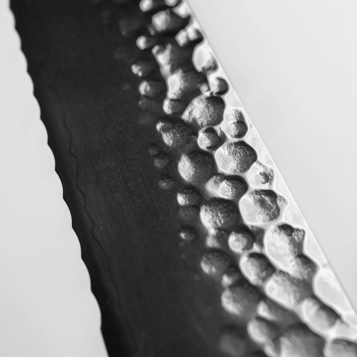 Hajimaru VG10 Tsuchime 3 Layer Bread Knife 210mm - Image 6