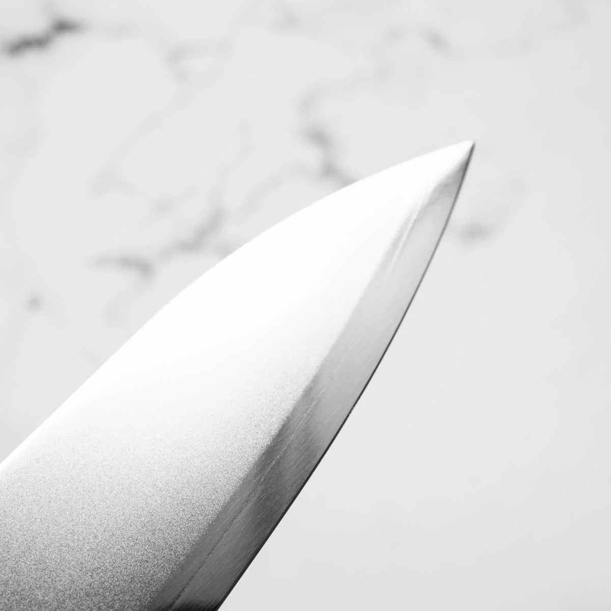 Hatsukokoro Kaijin Blue 2 Stainless Clad Gyuto 210mm - Image 7