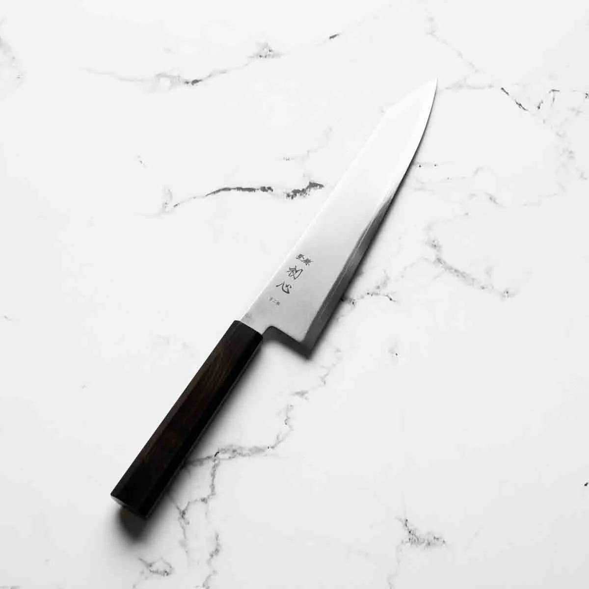 Hatsukokoro Kaijin Blue 2 Stainless Clad Kiritsuke Gyuto 240mm - Ebony - Image 2