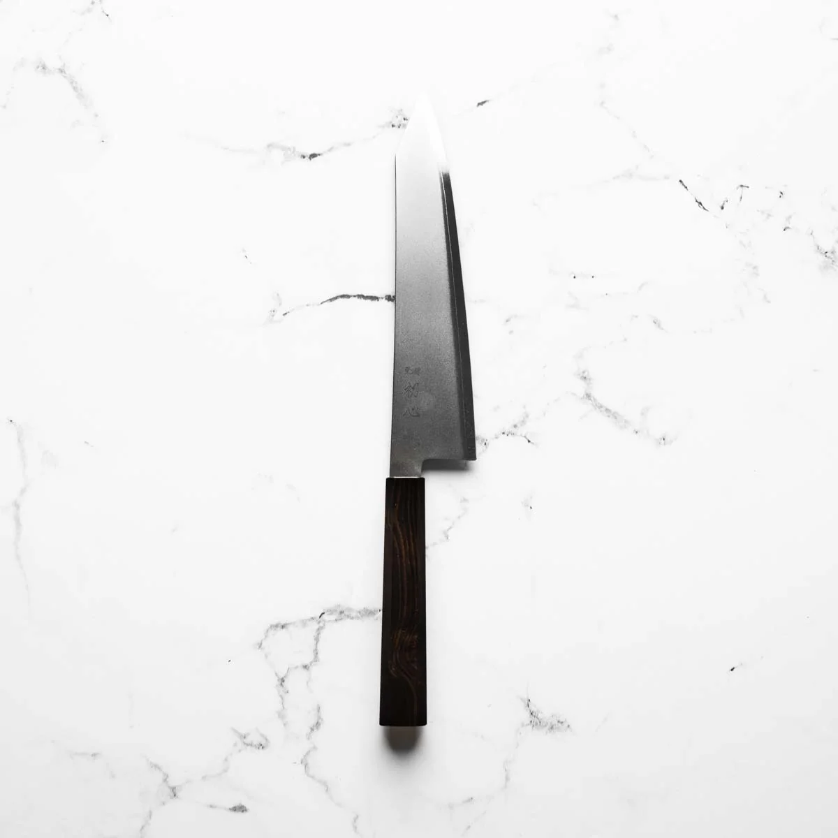 Hatsukokoro Kaijin Blue 2 Stainless Clad Kiritsuke Gyuto 240mm - Ebony - Image 3
