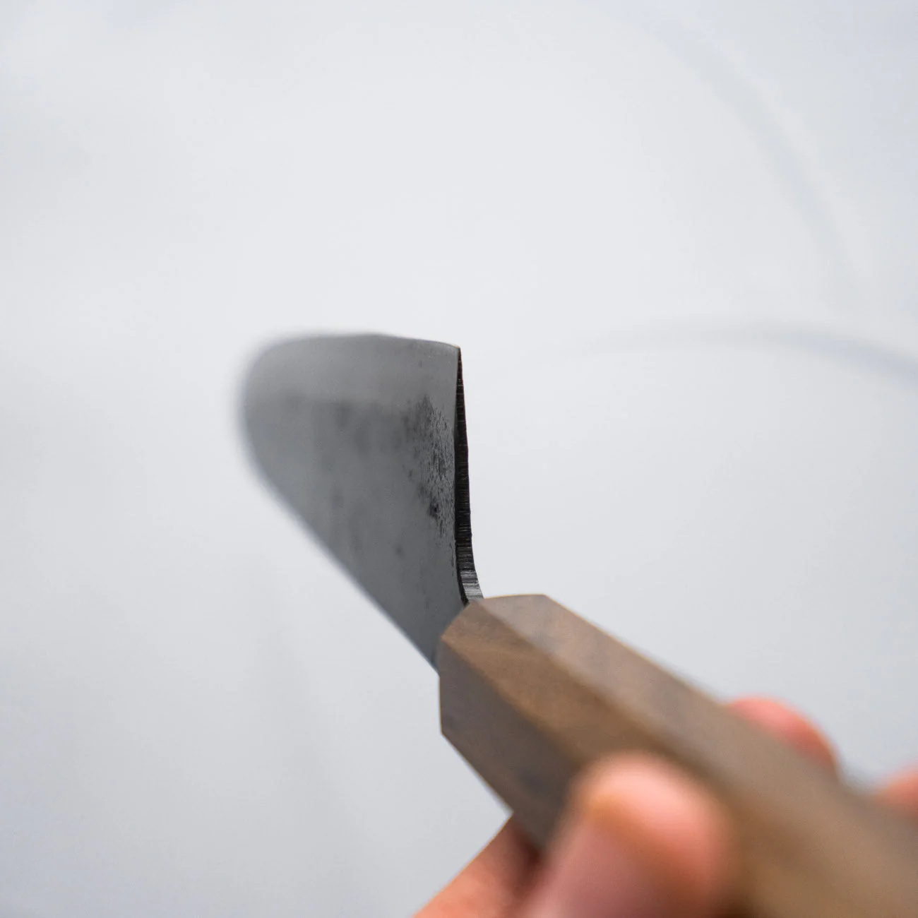 Hatsukokoro Kokugei Blue 1 Gyuto 240mm - Image 3