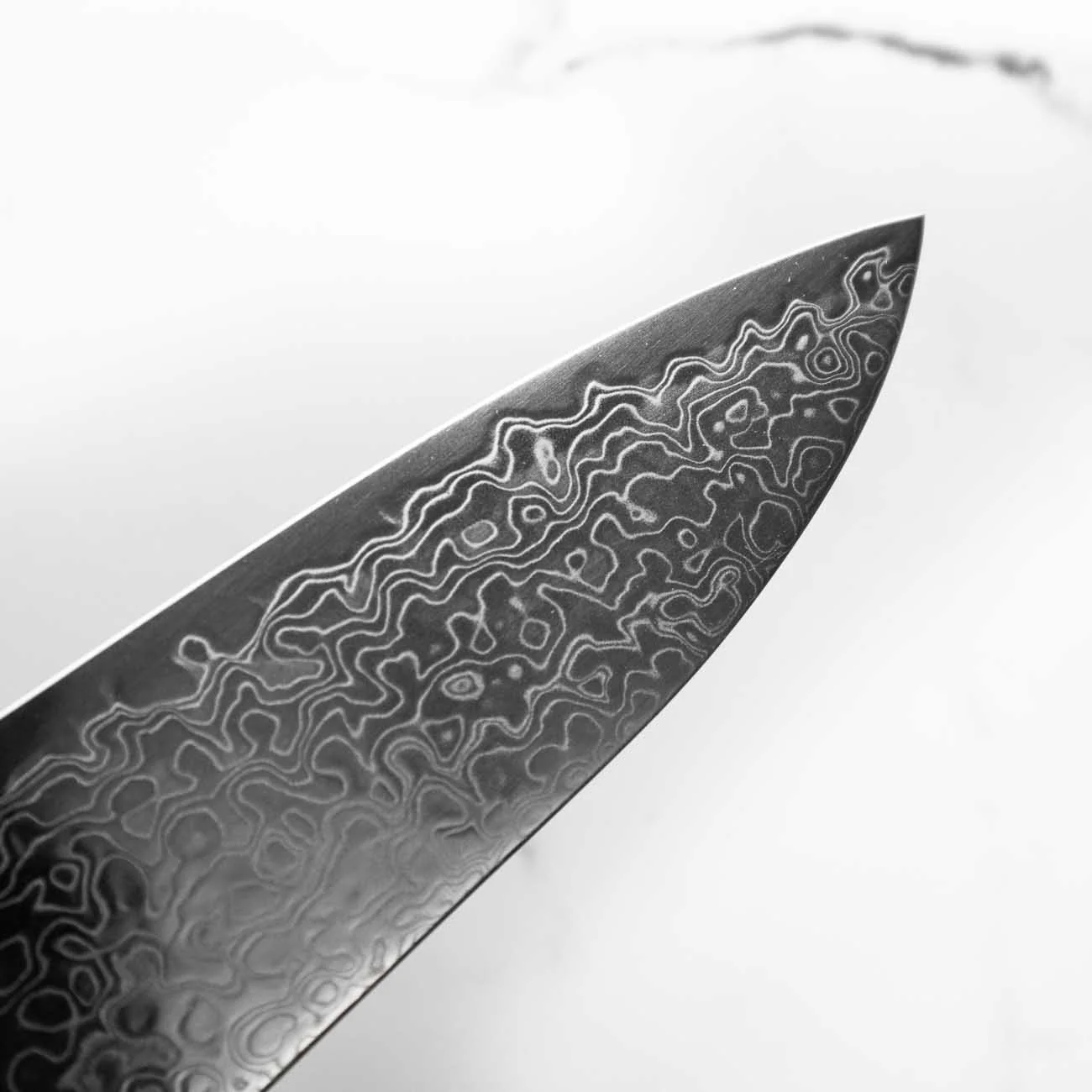 Hatsukokoro Ryuhyo SG2 Damascus Gyuto 210mm -  Dark Maple - Image 8