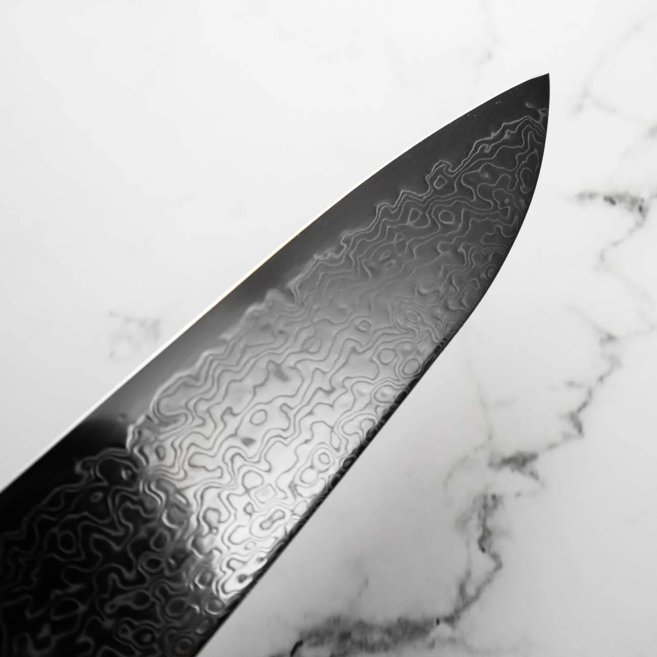 Hatsukokoro Ryuhyo SG2 Damascus Gyuto 240mm -  Quince - Image 5