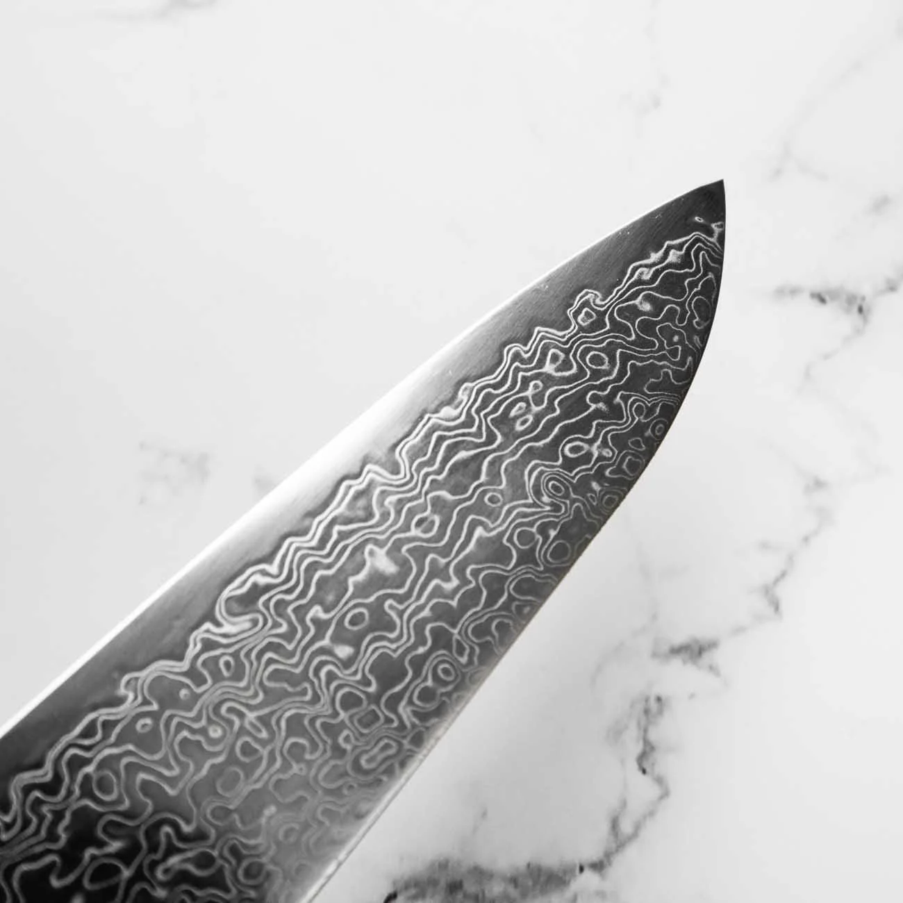 Hatsukokoro Ryuhyo SG2 Damascus Gyuto 240mm -  Quince - Image 6