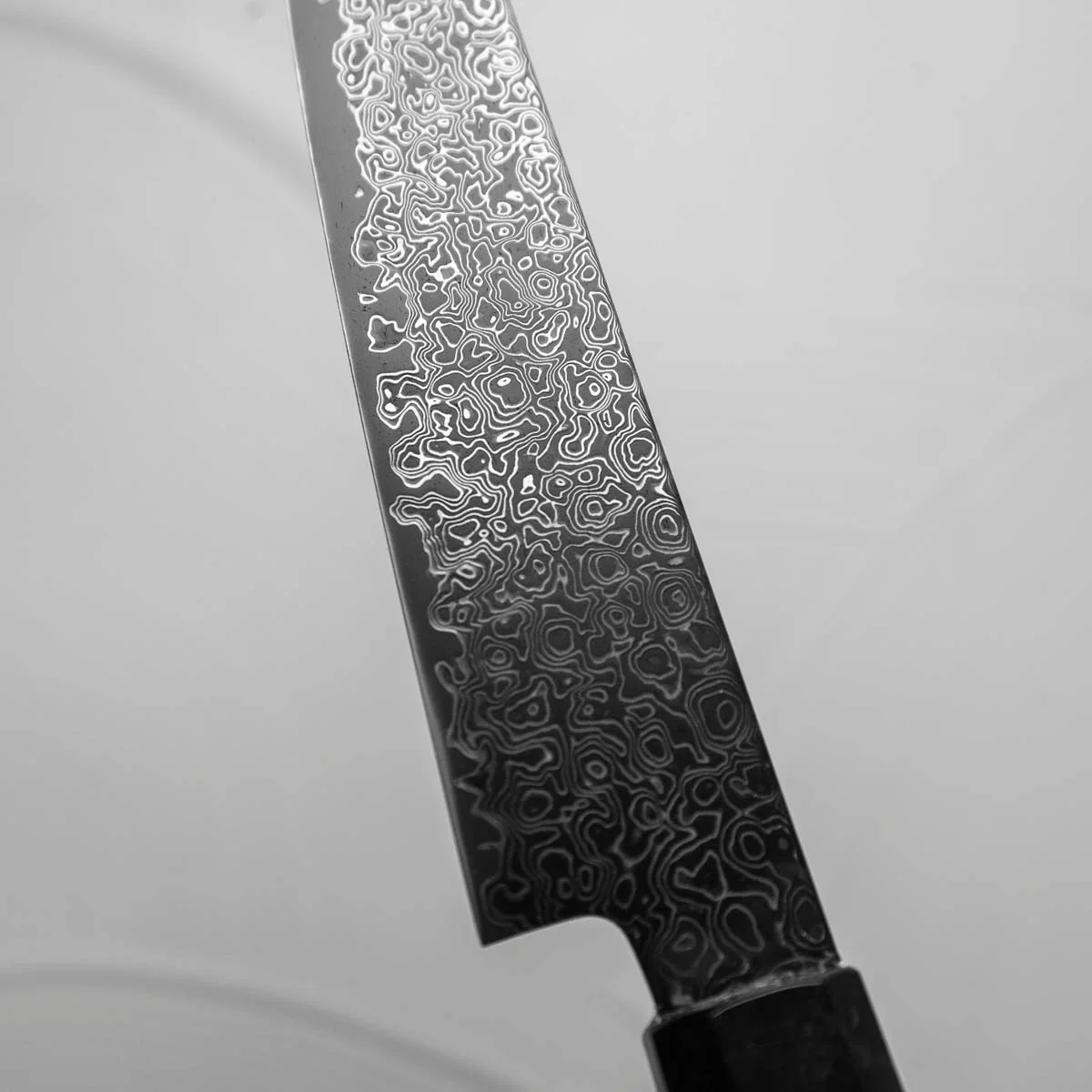 Hatsukokoro Saihyo SG2 Black Damascus Petty 150mm - Maple - Image 2