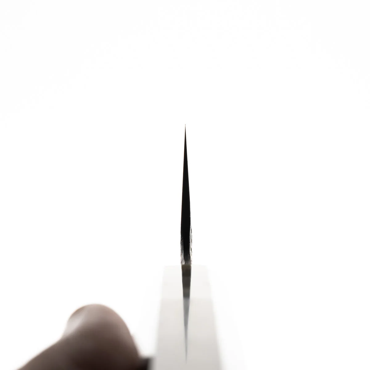 Kisuke "The Beast" ZDP‐189 Gyuto 210mm - Image 8