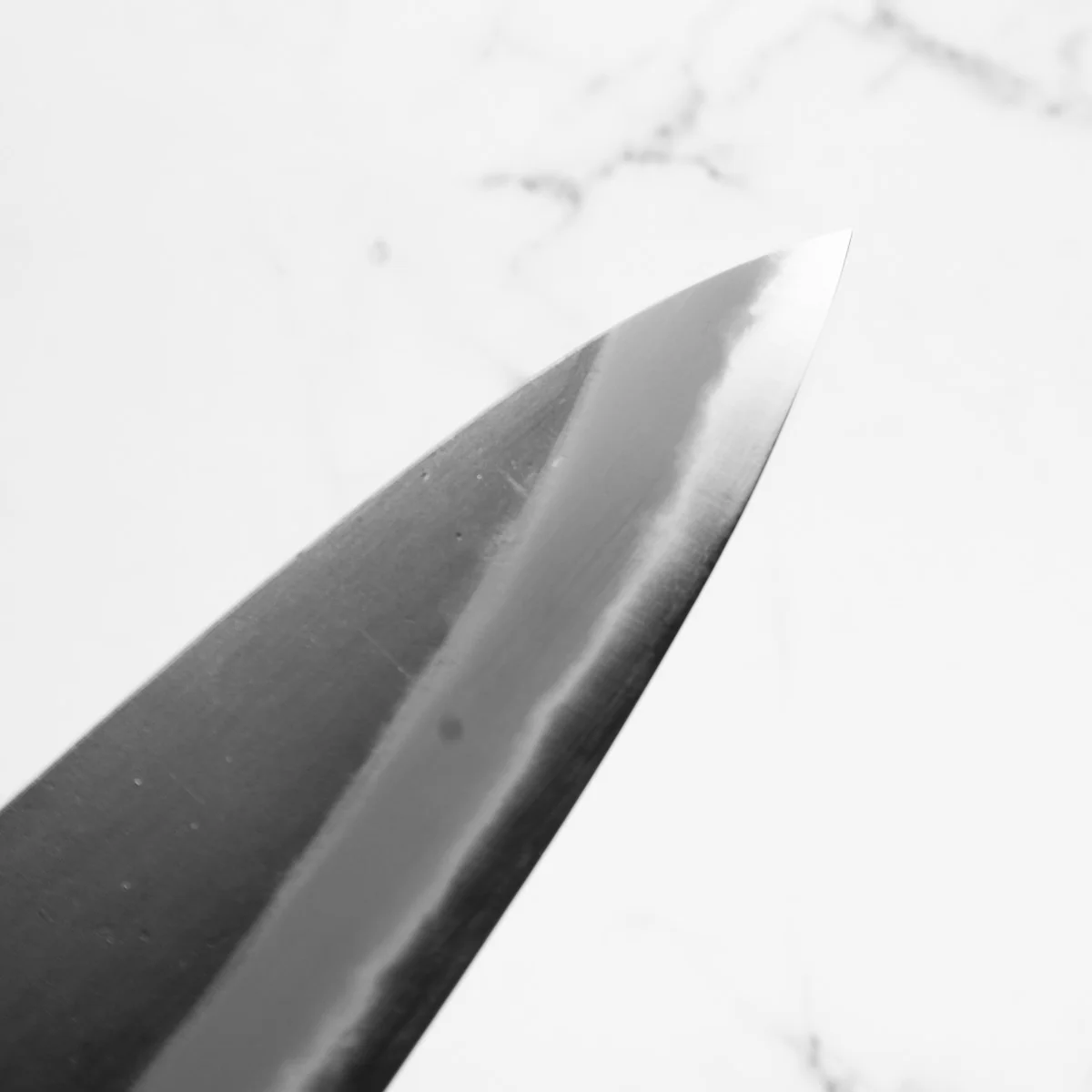 Mutsumi Hinoura Ajikataya White 2 Gyuto 210mm - Rosewood / Black Horn - Image 7