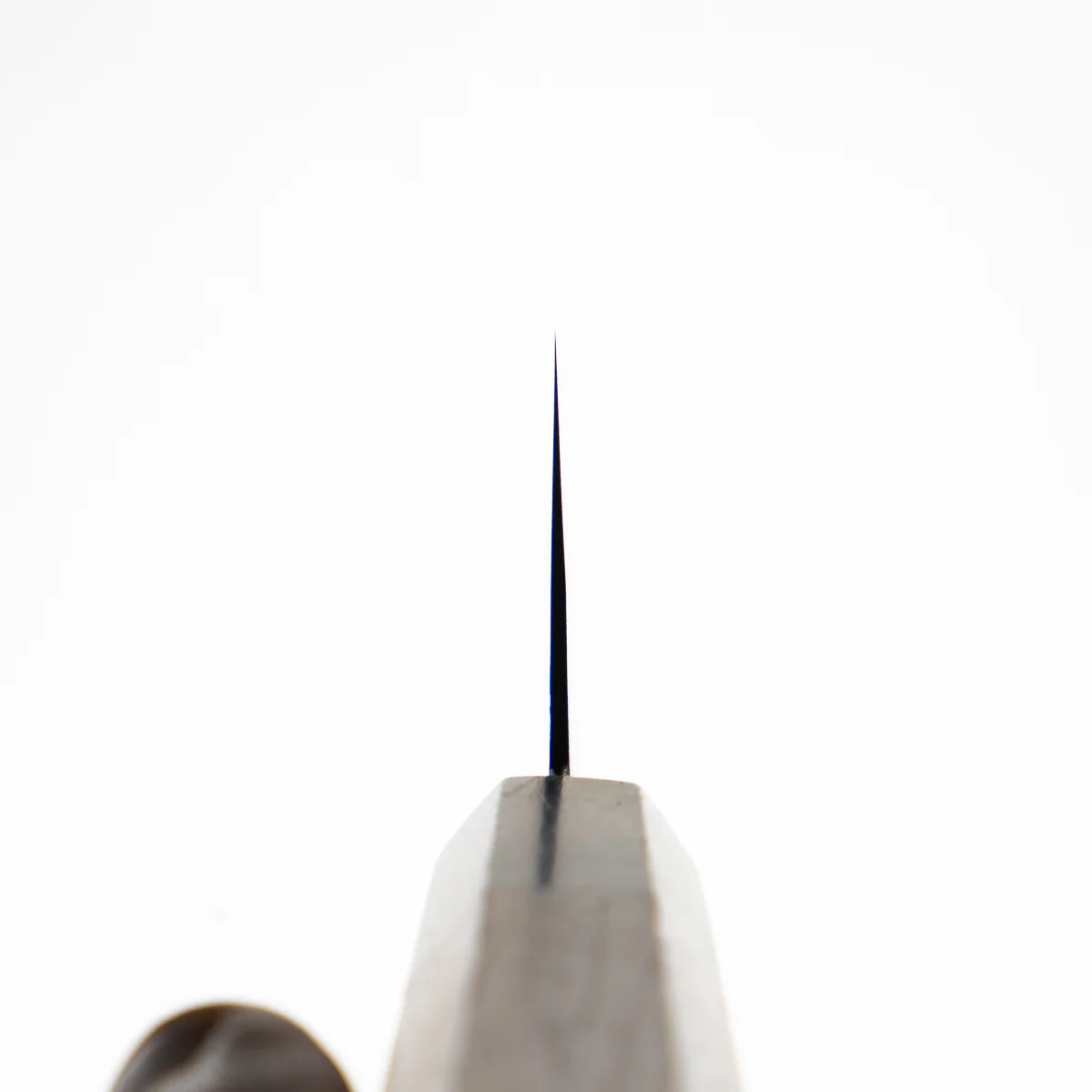 Mutsumi Hinoura Ajikataya White 2 Gyuto 210mm - Rosewood / Ebony Ferrule (White Ring) - Image 9