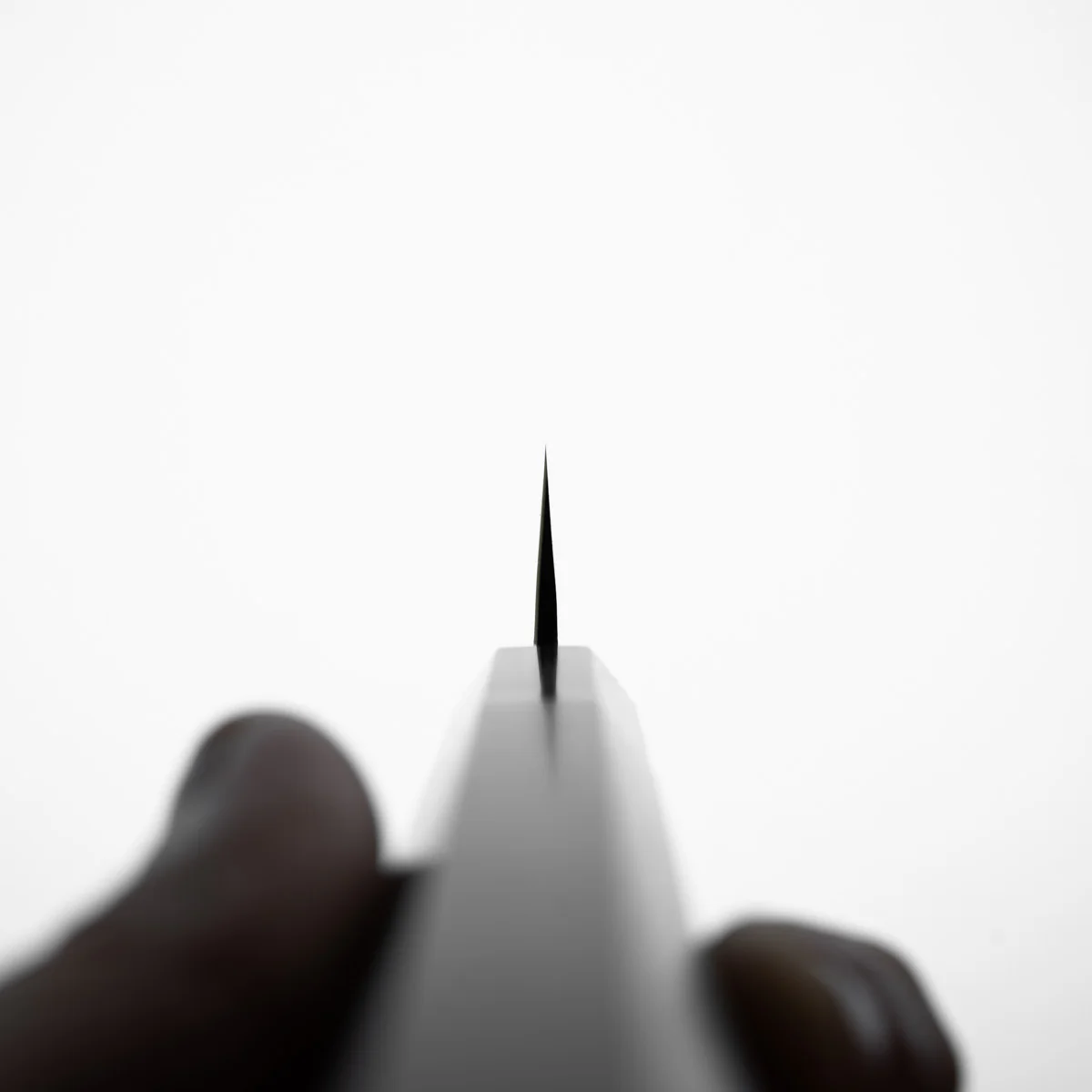 Mutsumi Hinoura Ajikataya White 2 Petty 135mm - Rosewood & Black Horn - Image 8