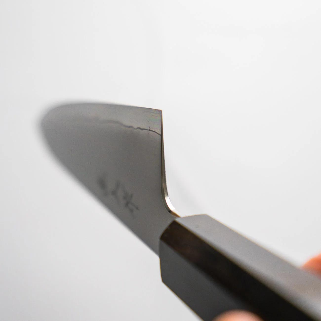 Myojin Riki Seisakusho SG2 Gyuto 210mm - Ebony - Image 7