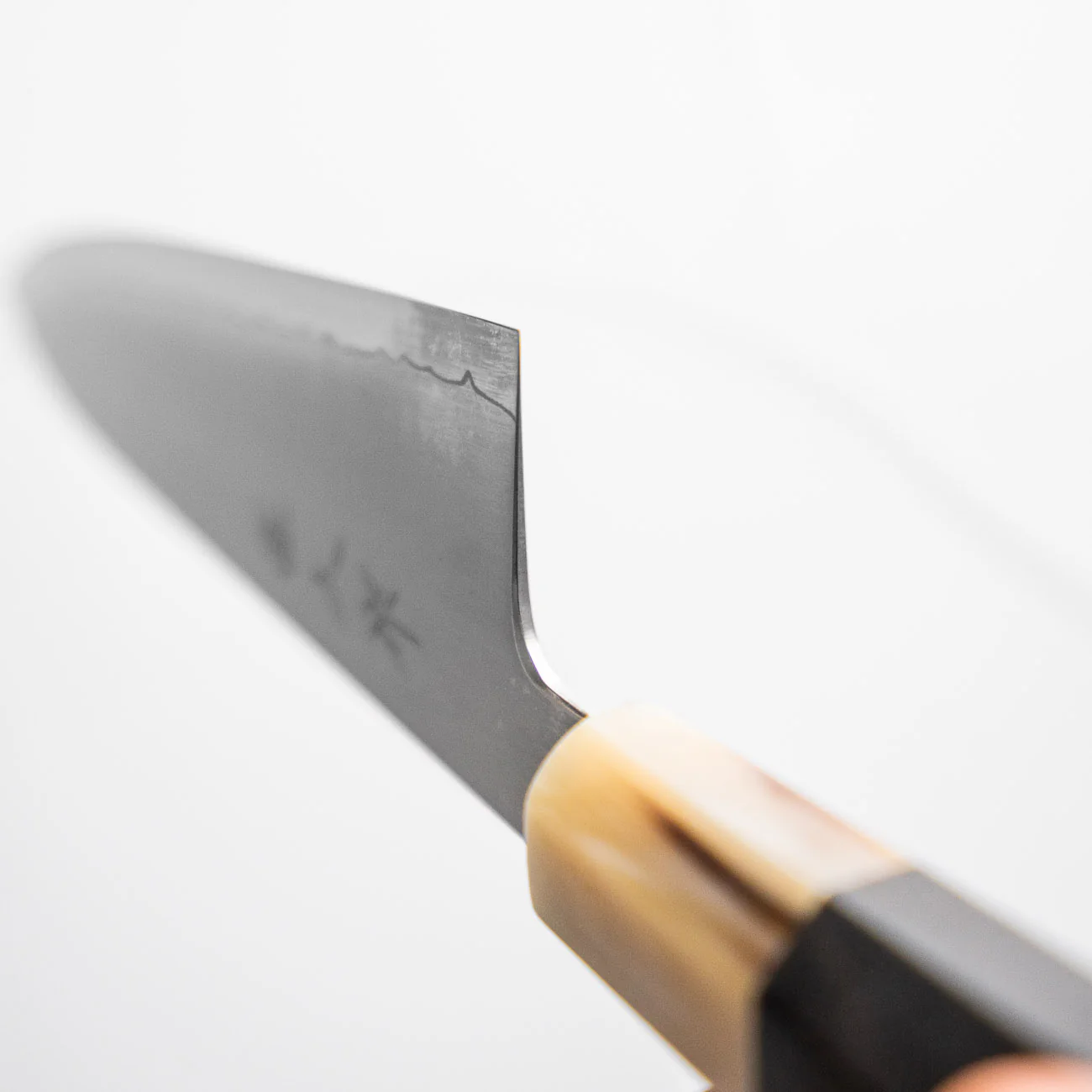 Myojin Riki Seisakusho SG2 Gyuto 240mm - African Blackwood - Image 2
