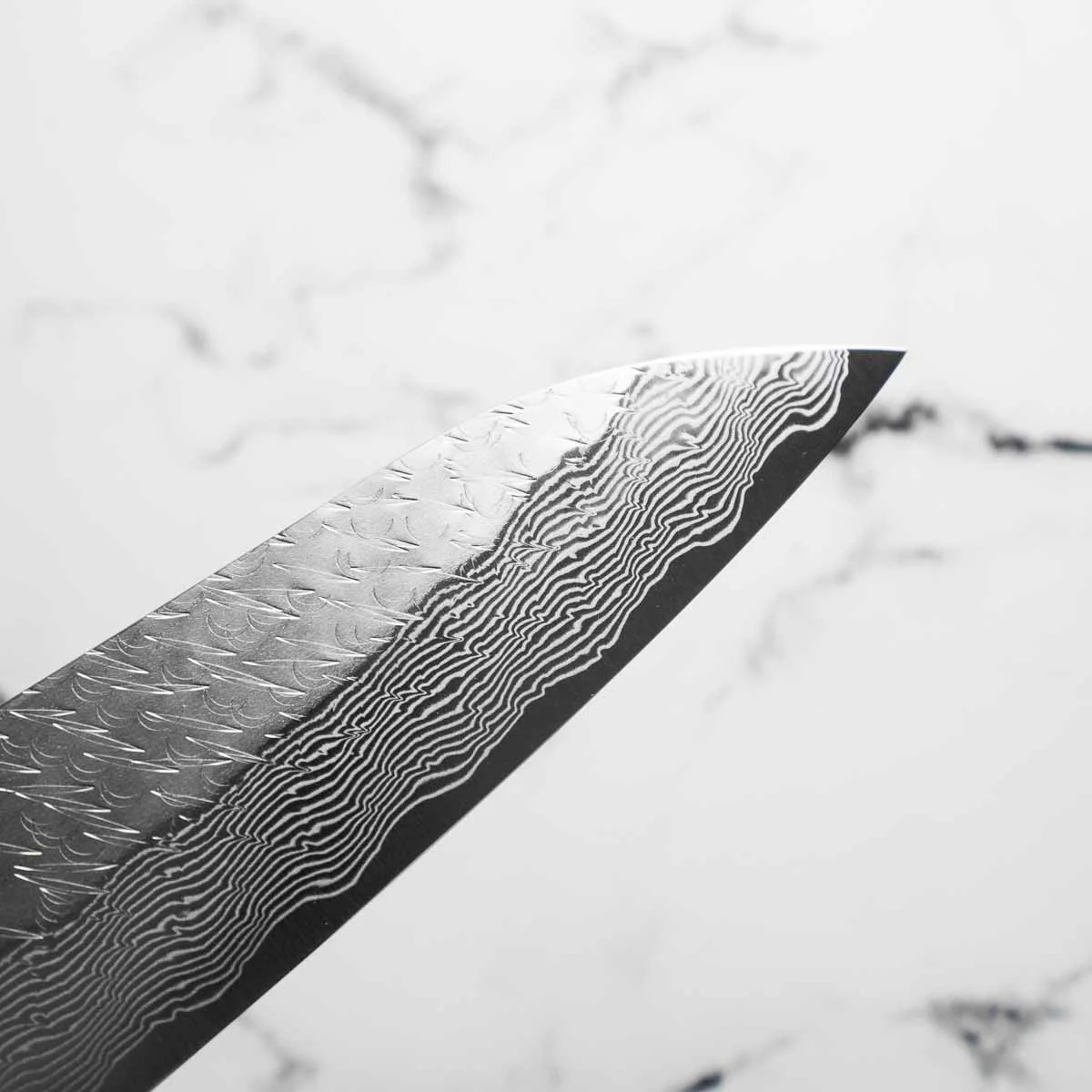 Nigara Hamono SG STRIX Gyuto 240mm - Dark Maple - Image 6