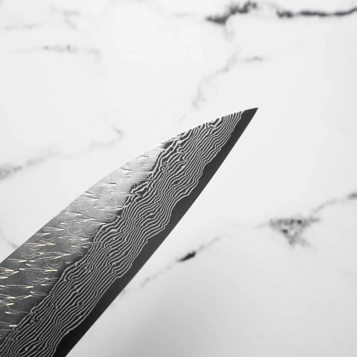 Nigara Hamono SG STRIX Sujihiki 270mm - Image 8