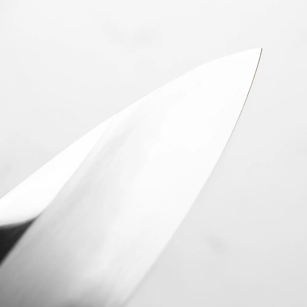 Sakai Kikumori "Choyo" Blue 1 Gyuto 210mm - Quince - Image 7