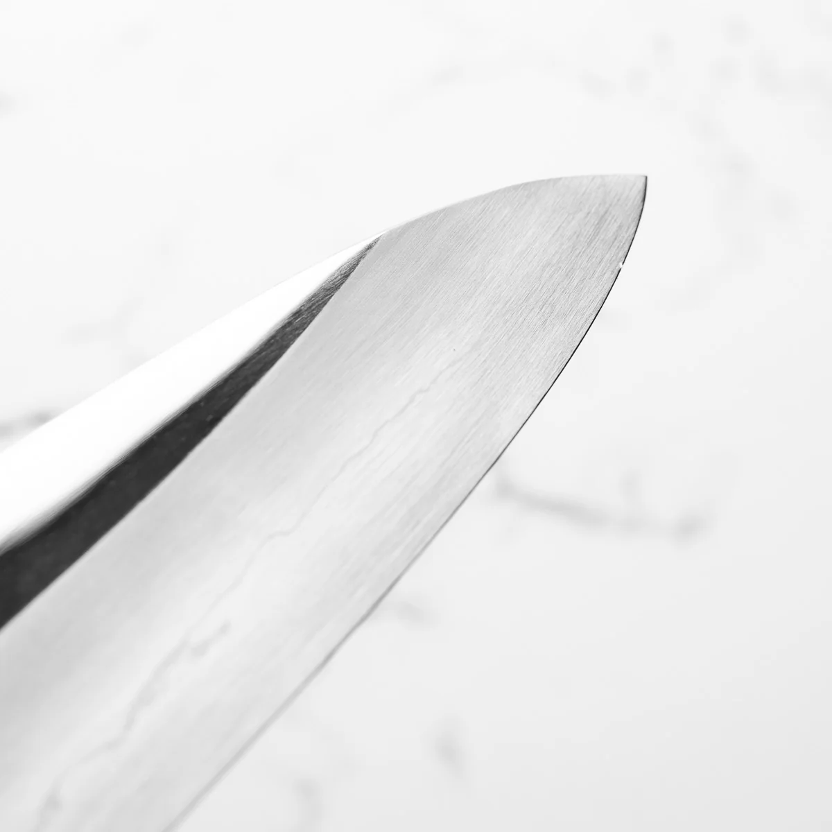 Sakai Kikumori "Choyo" Ginsan Gyuto 270mm - Quince - Image 6