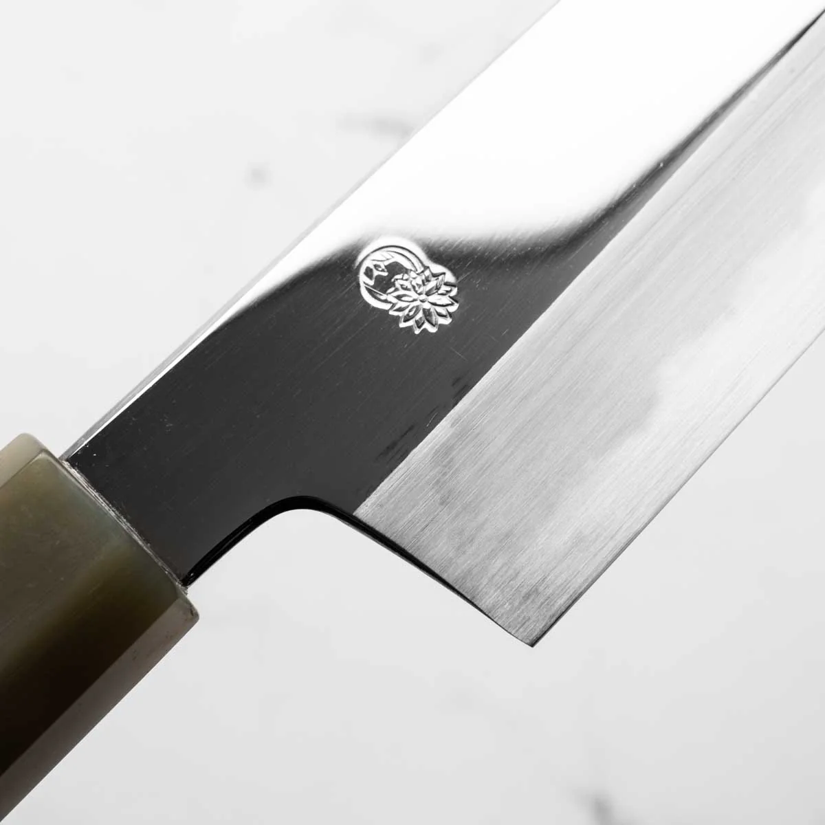 Sakai Kikumori "Choyo" Blue 1 Kiritsuke Gyuto 240mm - Quince - Image 5
