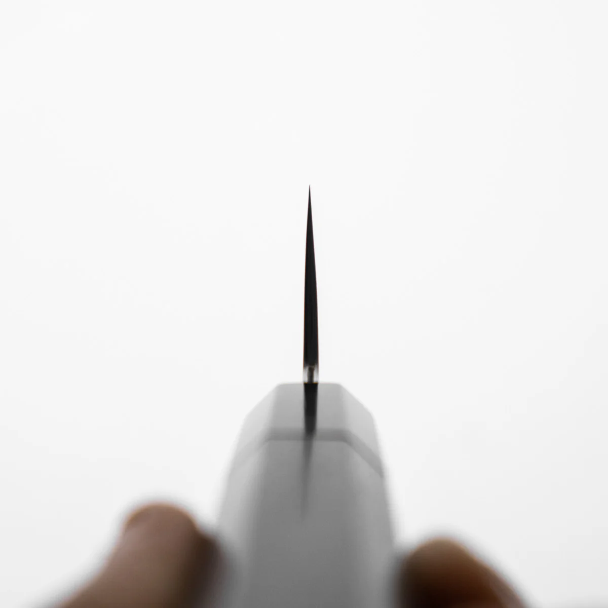Sakai Kikumori "Kasumi" Gyuto 210mm - Image 7