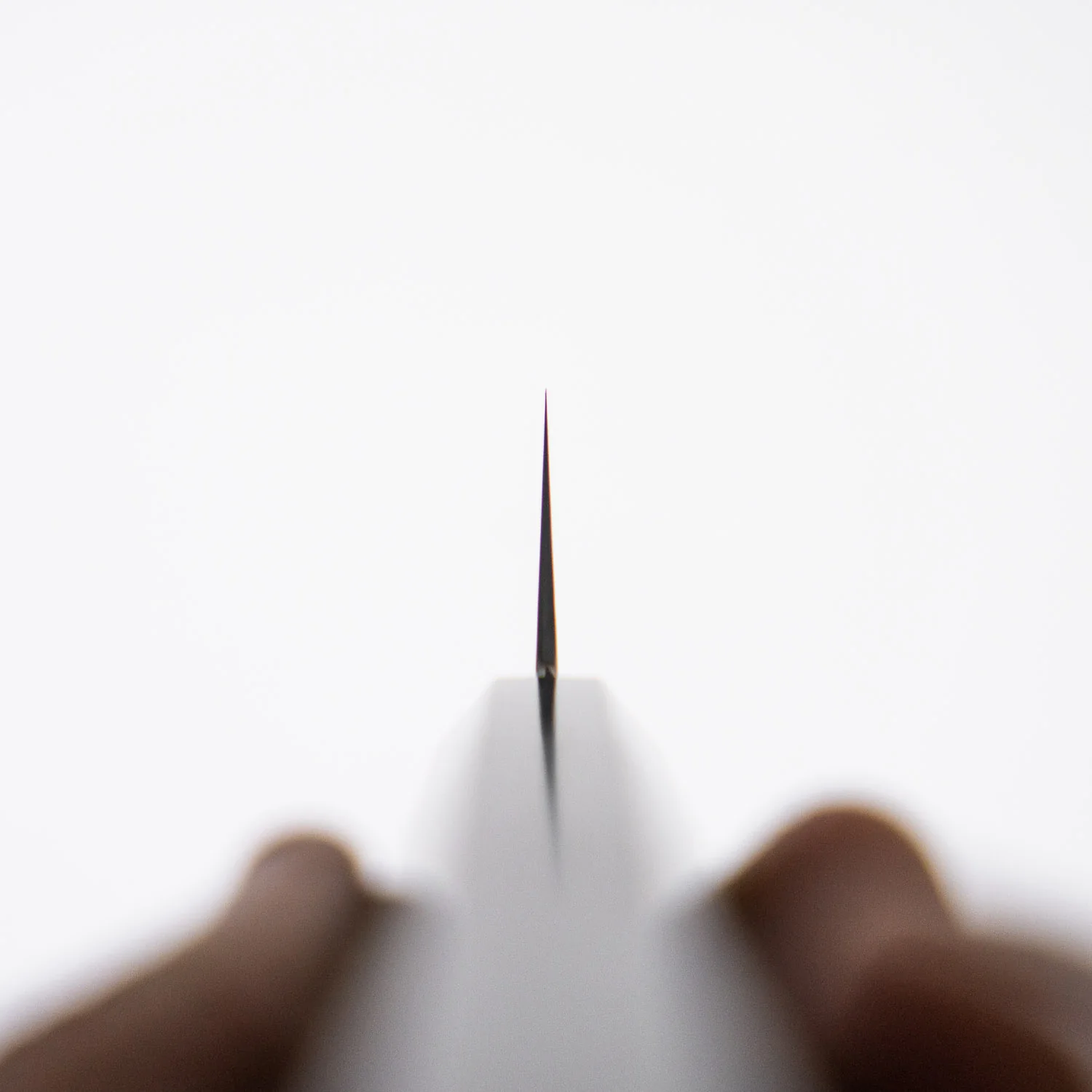 Sakai Kikumori "Kasumi" Kiritsuke 210mm - Image 3