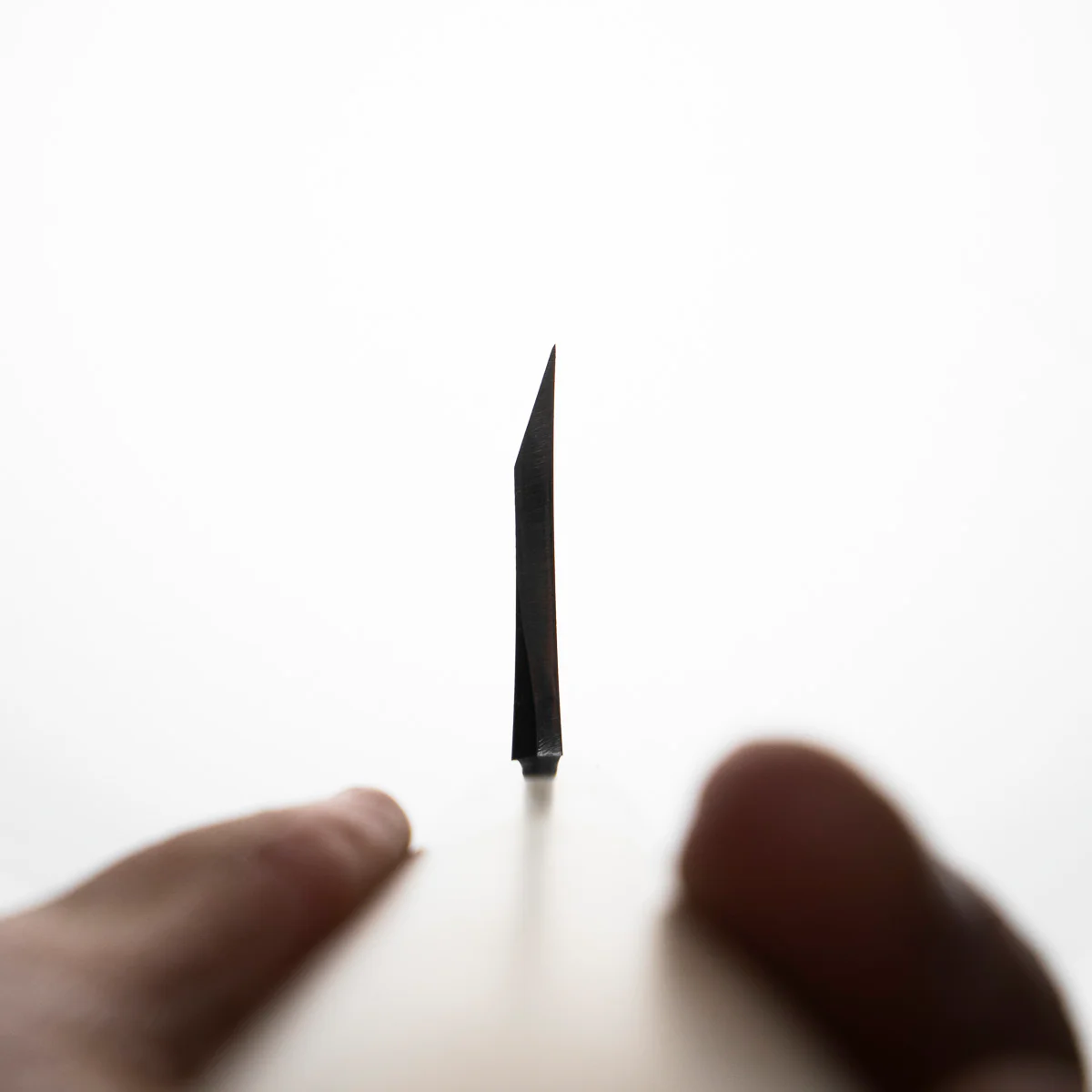 Sakai Kikumori Shironiko Deba 210mm - Image 4
