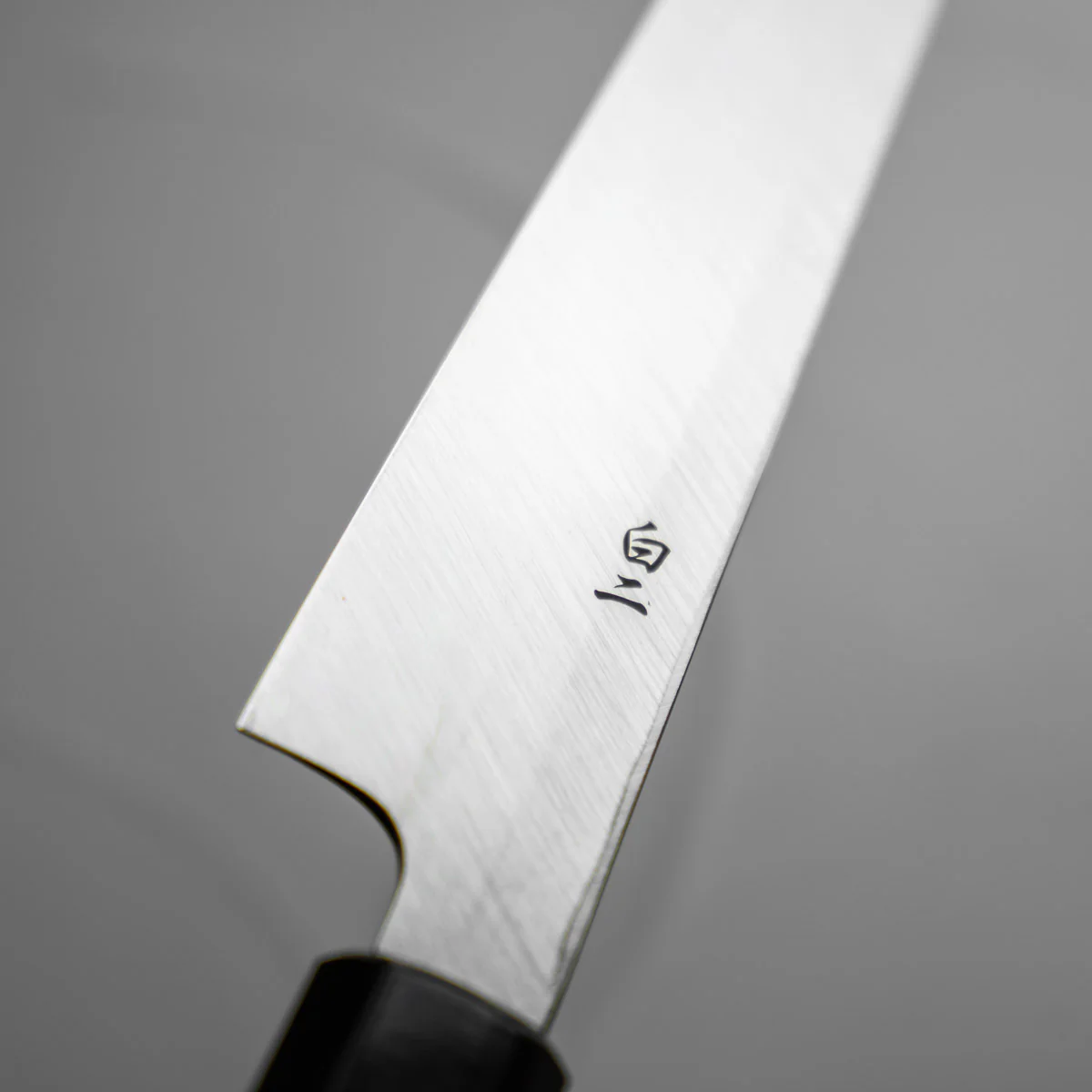 Sakai Kikumori Shironiko Yanagiba 270mm w/Saya - Image 7