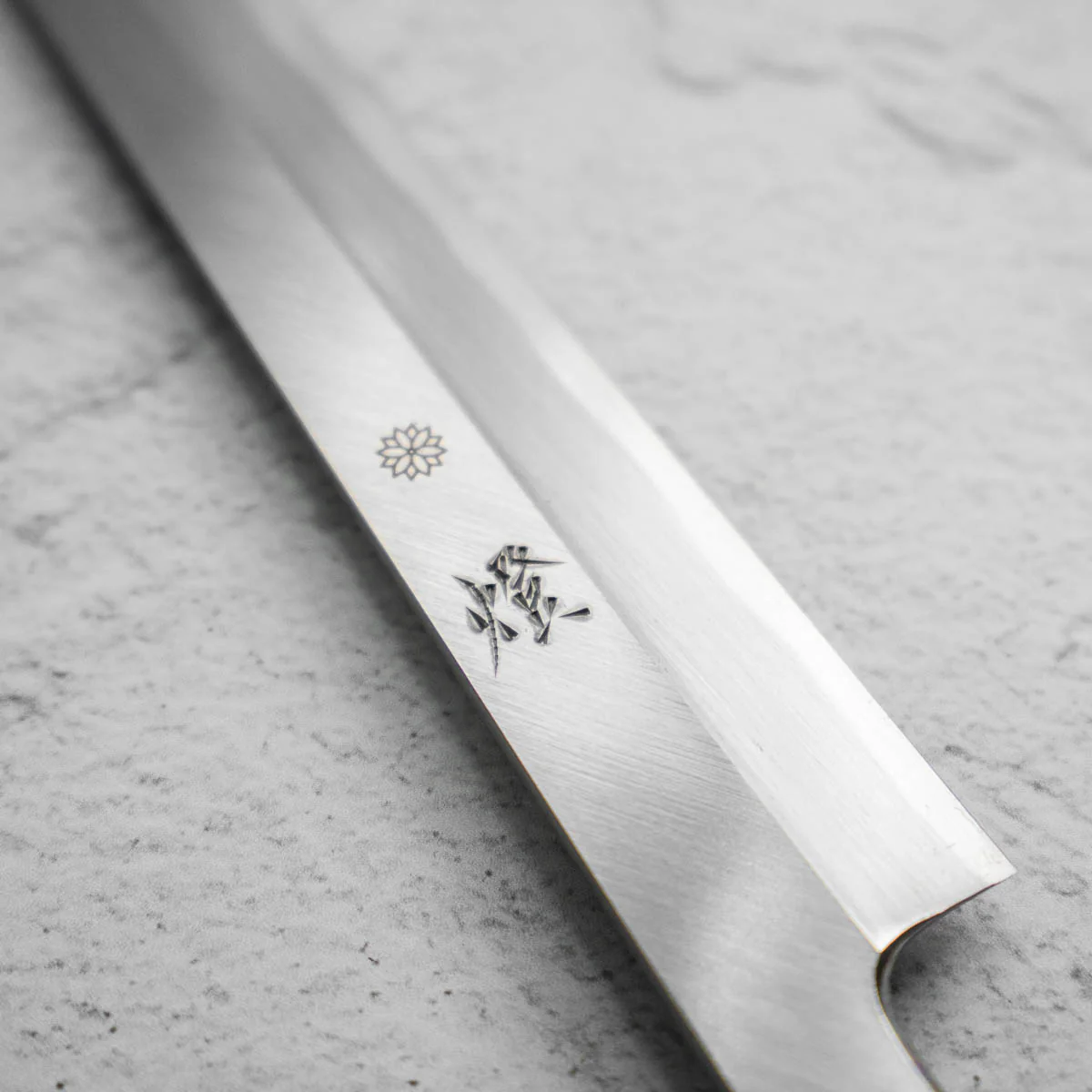 Sakai Kikumori Tomoshibi Yanagiba 270mm - Image 3