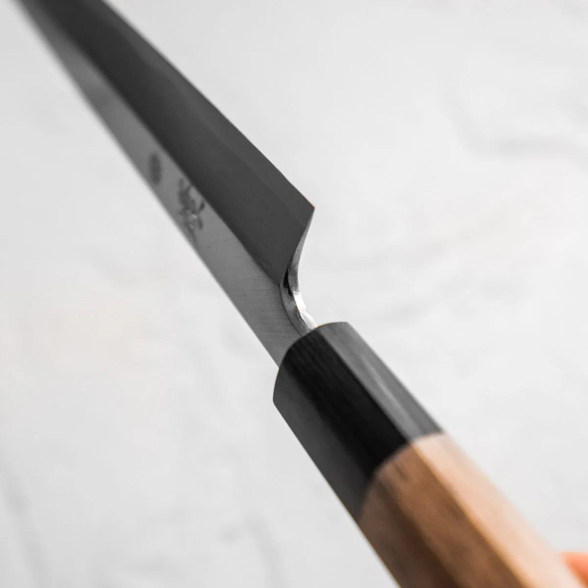 Sakai Kikumori Tomoshibi Yanagiba 240mm - Image 4