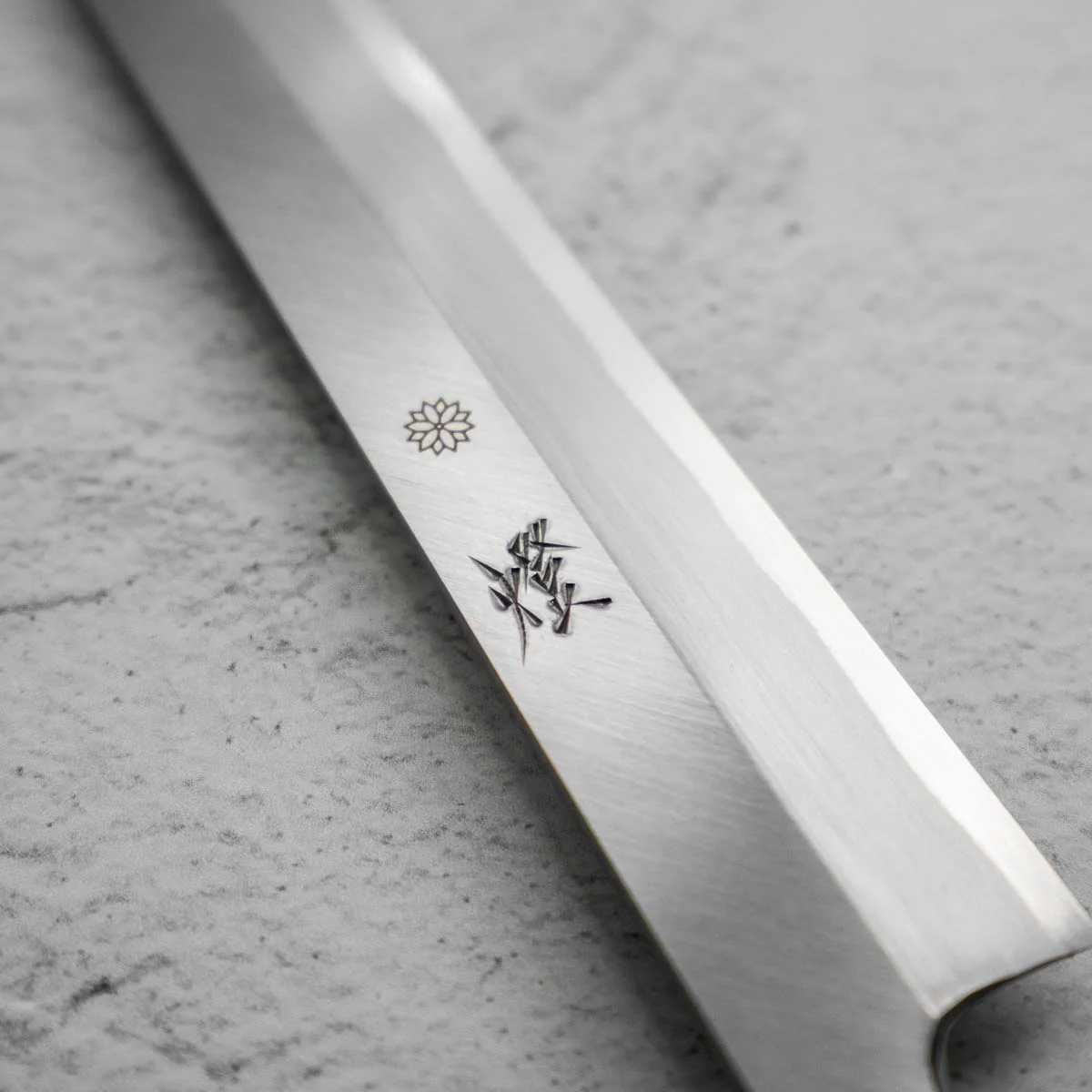 Sakai Kikumori Tomoshibi Yanagiba 300mm - Image 4