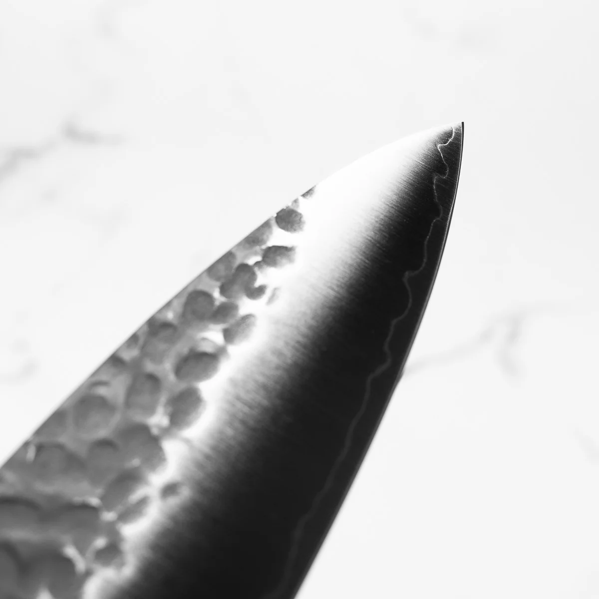 Senzo Finest STRIX Gyuto 210mm - Image 6