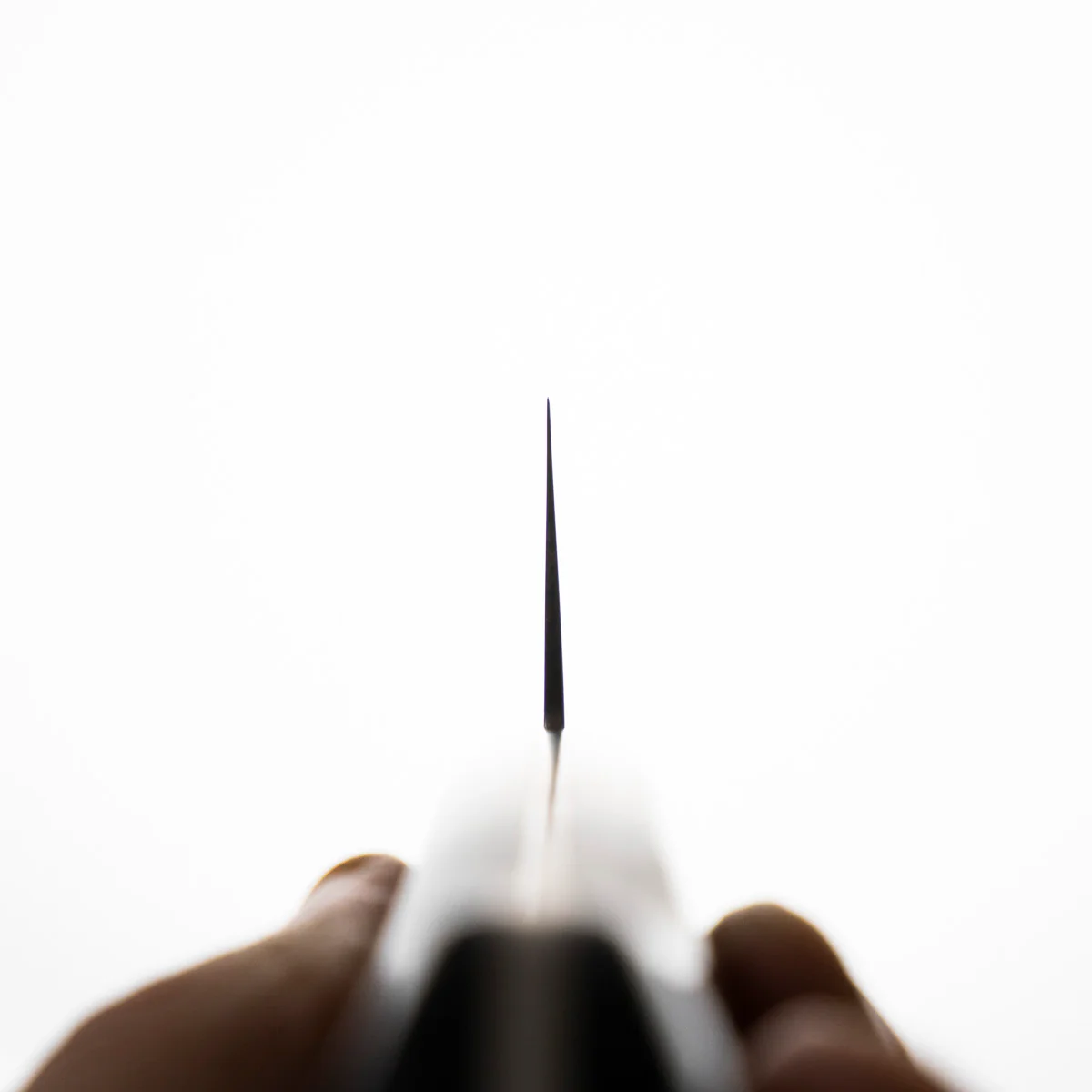 Senzo Professional SG2 Gyuto 210mm - Image 6