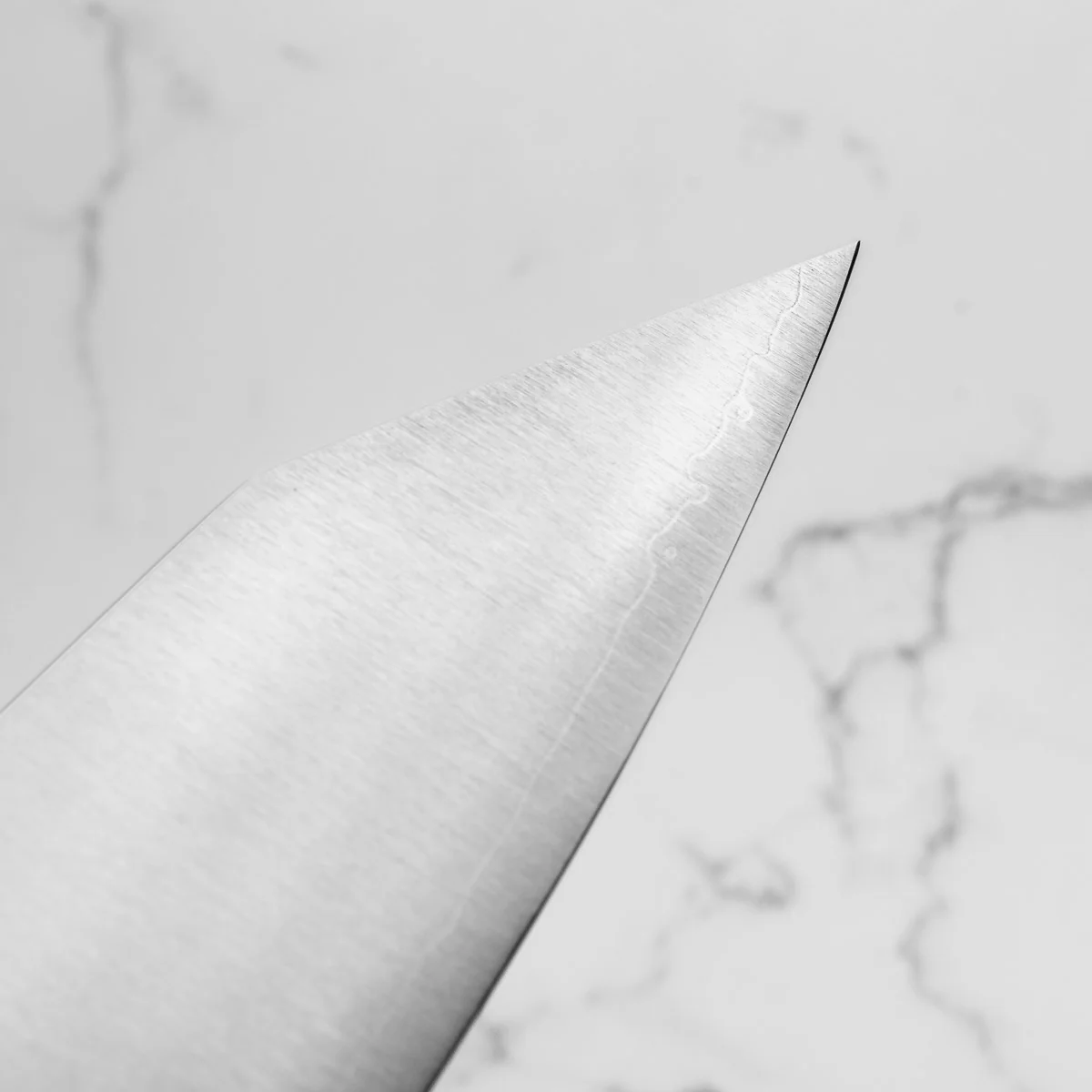 Shibata Koutetsu Battleship SG2 Gyuto 195mm - Jarrah - Image 7
