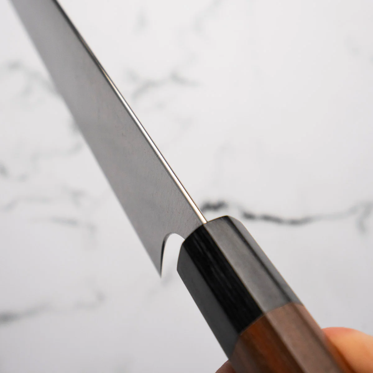 Shibata Koutetsu SG2 Gyuto (Kiritsuke) 210mm - Image 5