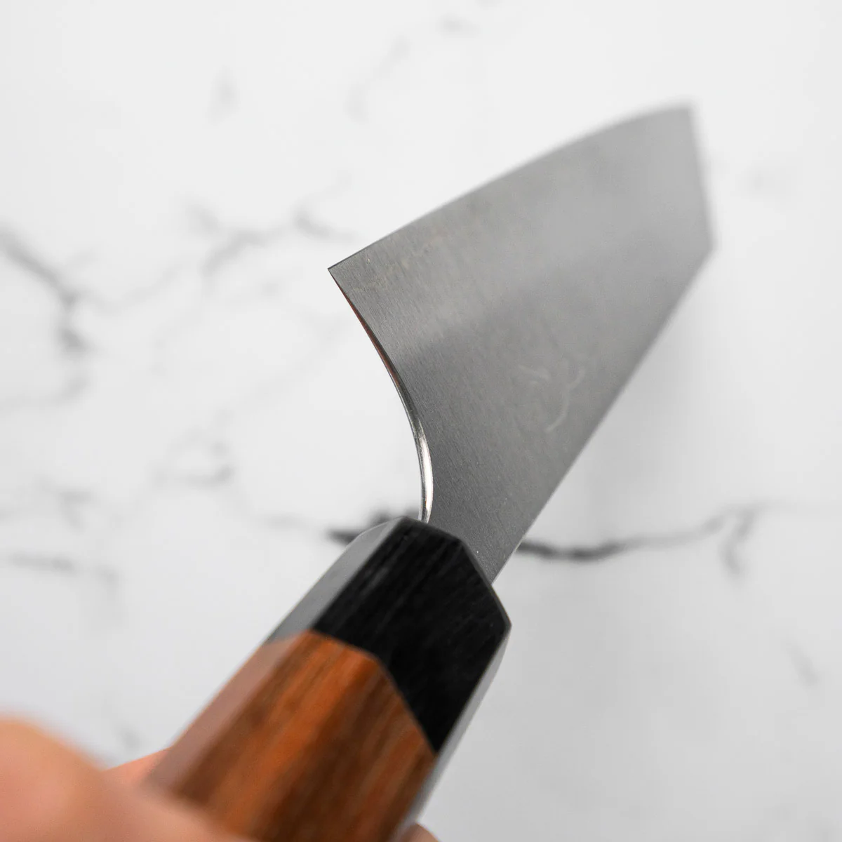 Shibata Koutetsu SG2 Gyuto (Kiritsuke) 210mm - Image 6