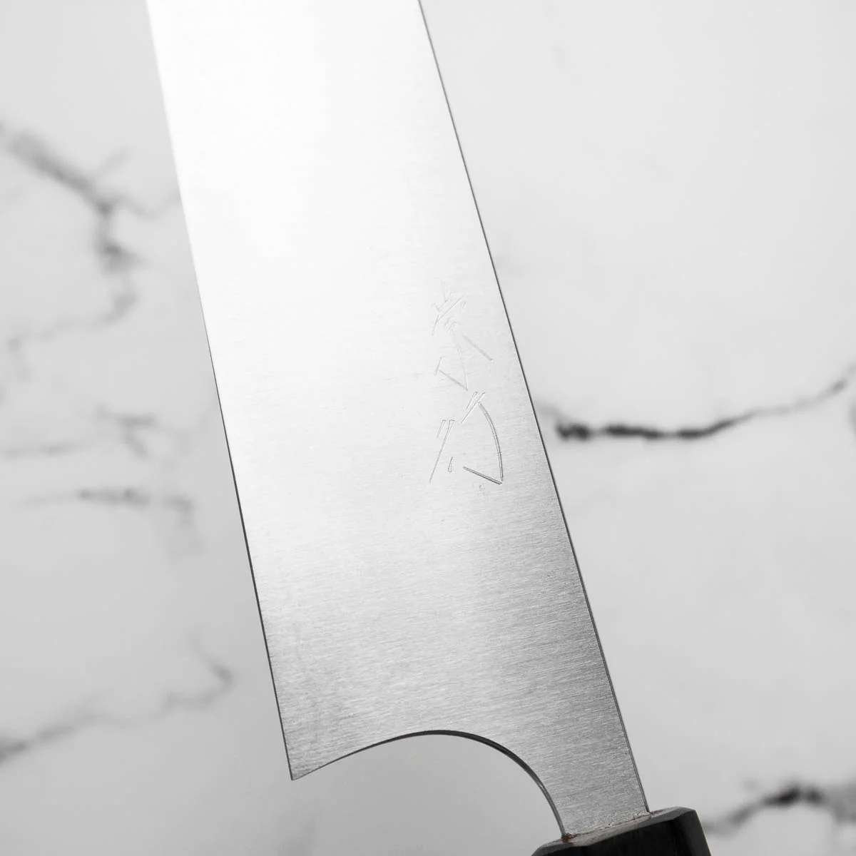 Shibata Koutetsu SG2 Gyuto (Kiritsuke) 210mm - Image 7