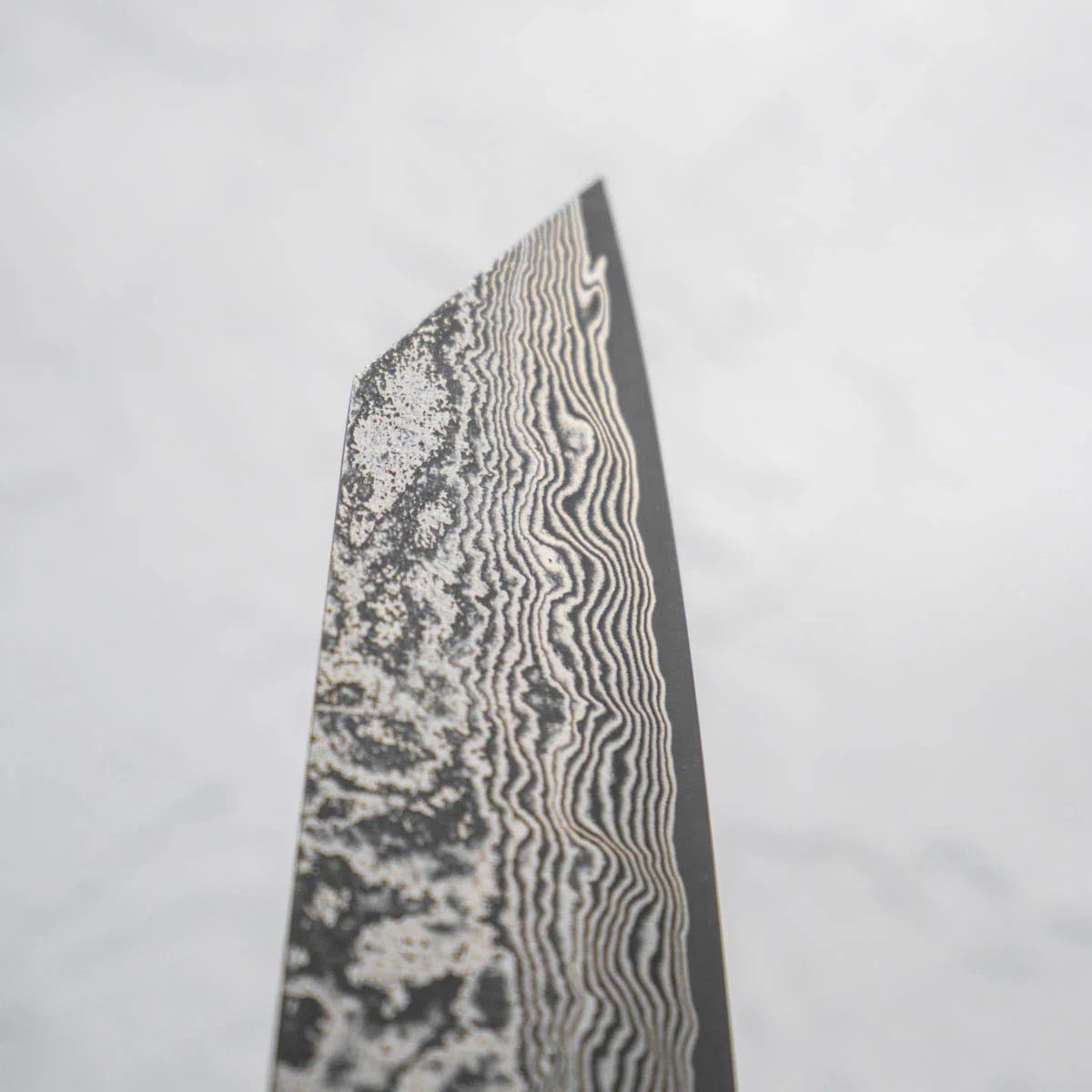 Shiro Kamo SG2 Black Damascus Bunka 165mm - Image 3