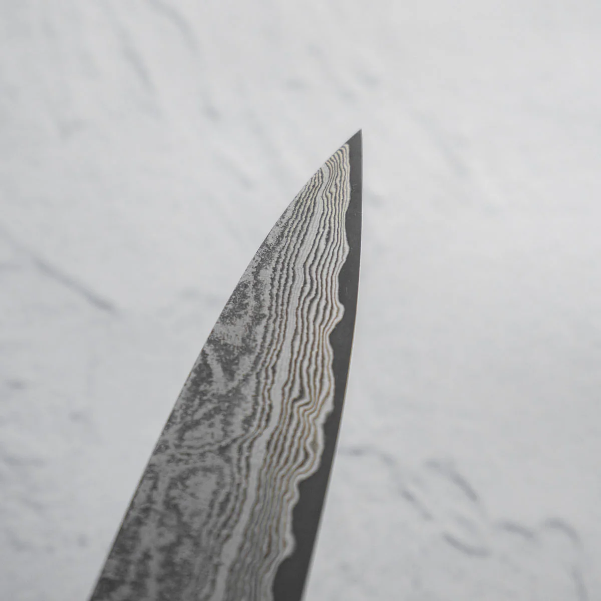 Shiro Kamo SG2 Black Damascus Sujihiki 270mm - Image 3