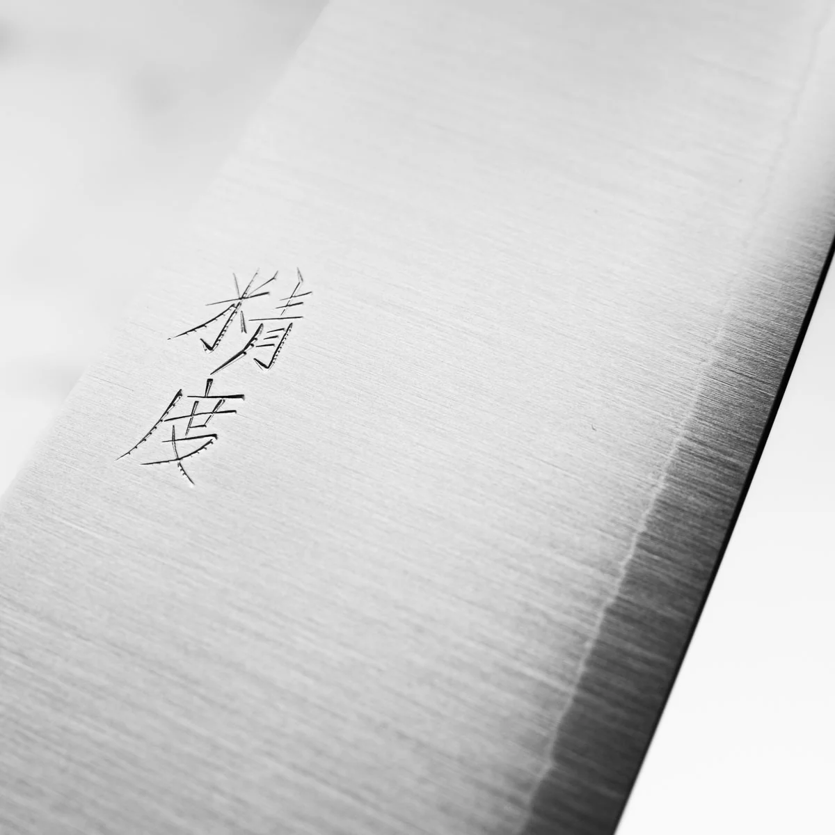 Tadafusa x Seido SLD Gyuto 210mm (Hocho Kobo V2) - Image 5