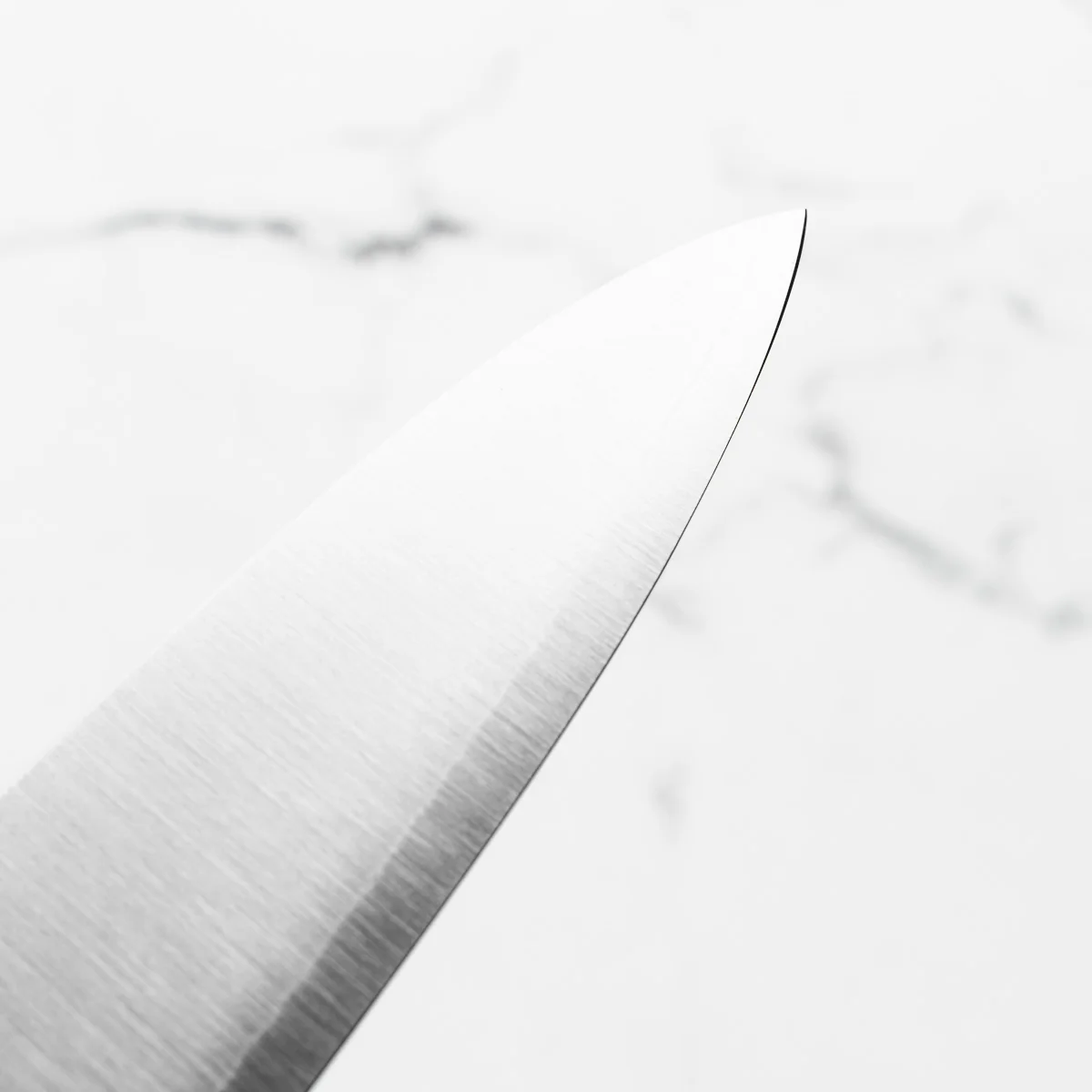 Tadafusa x Seido SLD Gyuto 210mm (Hocho Kobo V2) - Image 8