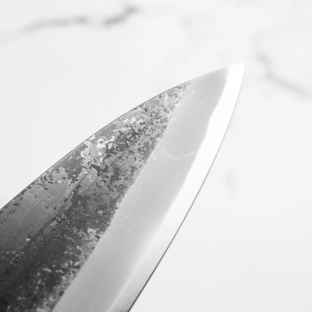 Tadafusa "Seido" White 2 Kurouchi Gyuto 210mm - Blade Only - Image 7