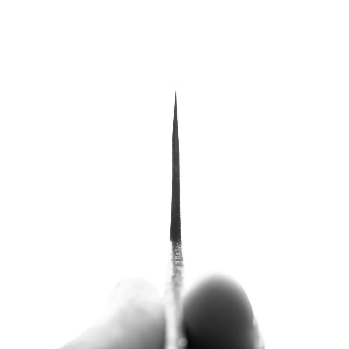 Tadafusa "Seido" White 2 Kurouchi Gyuto 240mm - Blade Only - Image 8