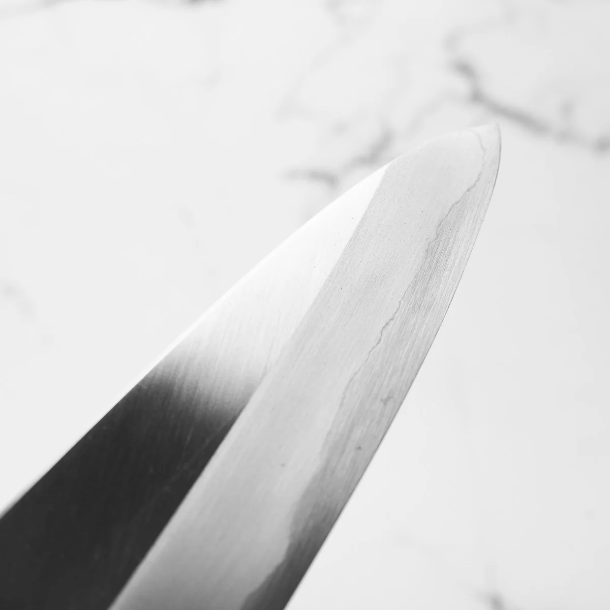 Tadokoro Hamono Ginsan Gyuto 240mm - Quince - Image 7