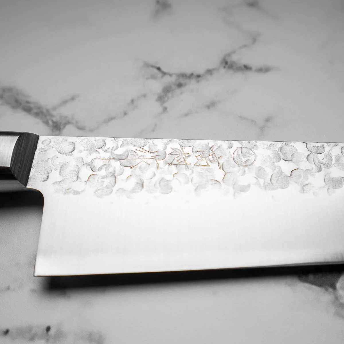 Takamura Chromax Gyuto 210mm - Image 4