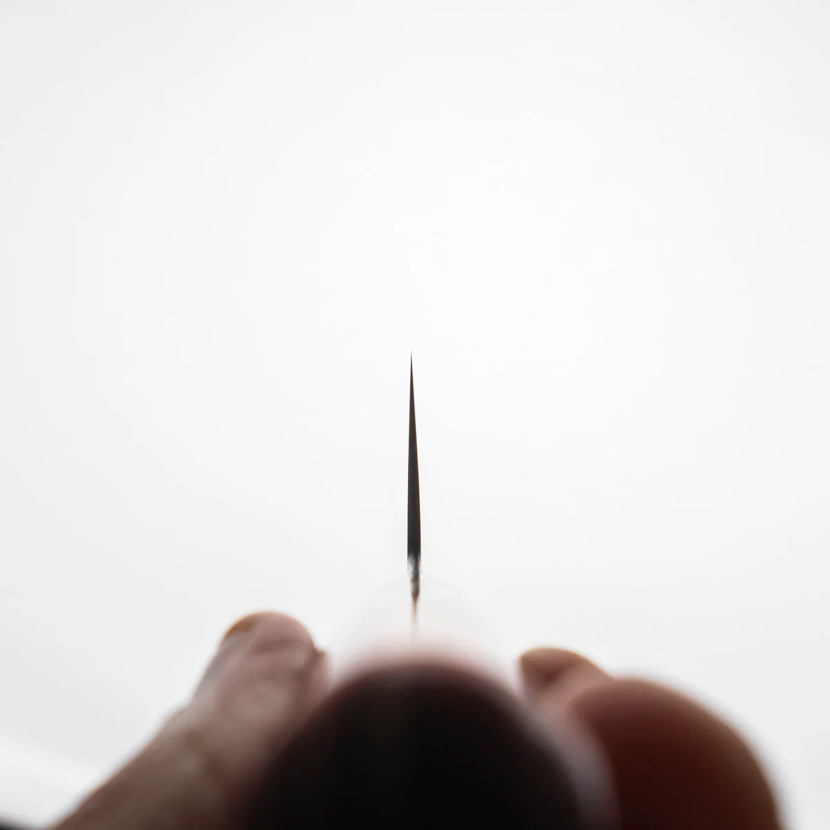Takamura Chromax Gyuto 210mm - Image 6