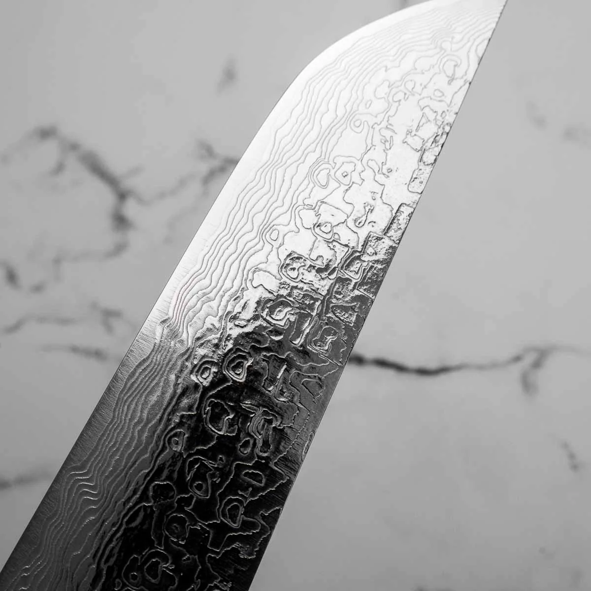 Takeshi Saji R2/SG2 Damascus Sakimaru Sujihiki 240mm Silver BCW - Image 4