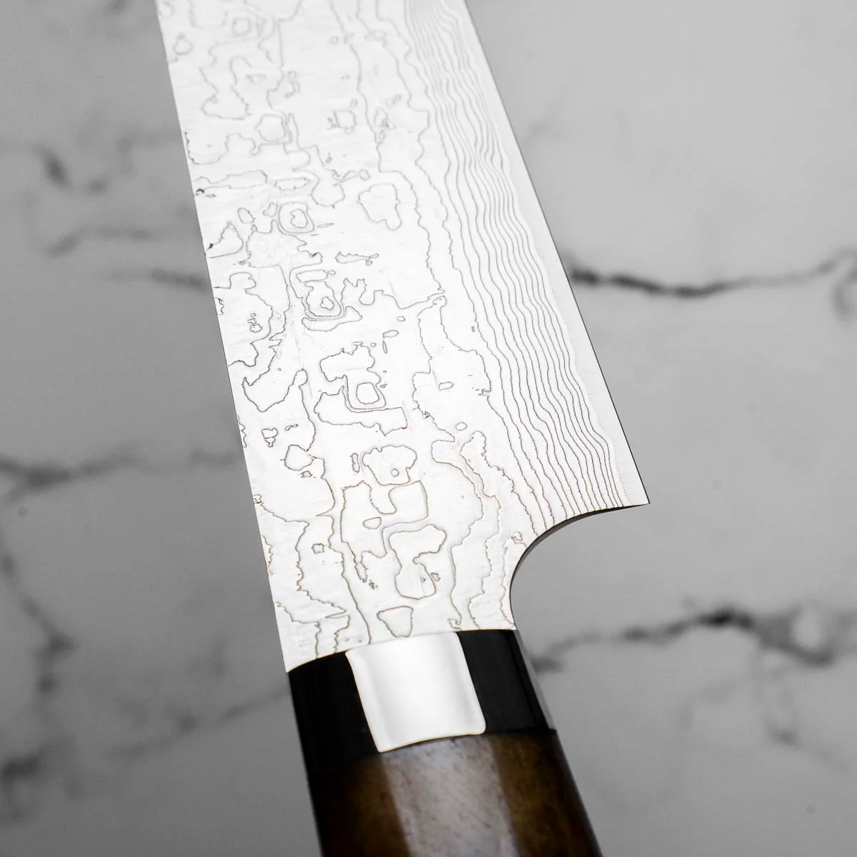 Takeshi Saji R2/SG2 Damascus Sakimaru Sujihiki 240mm Silver BCW - Image 5