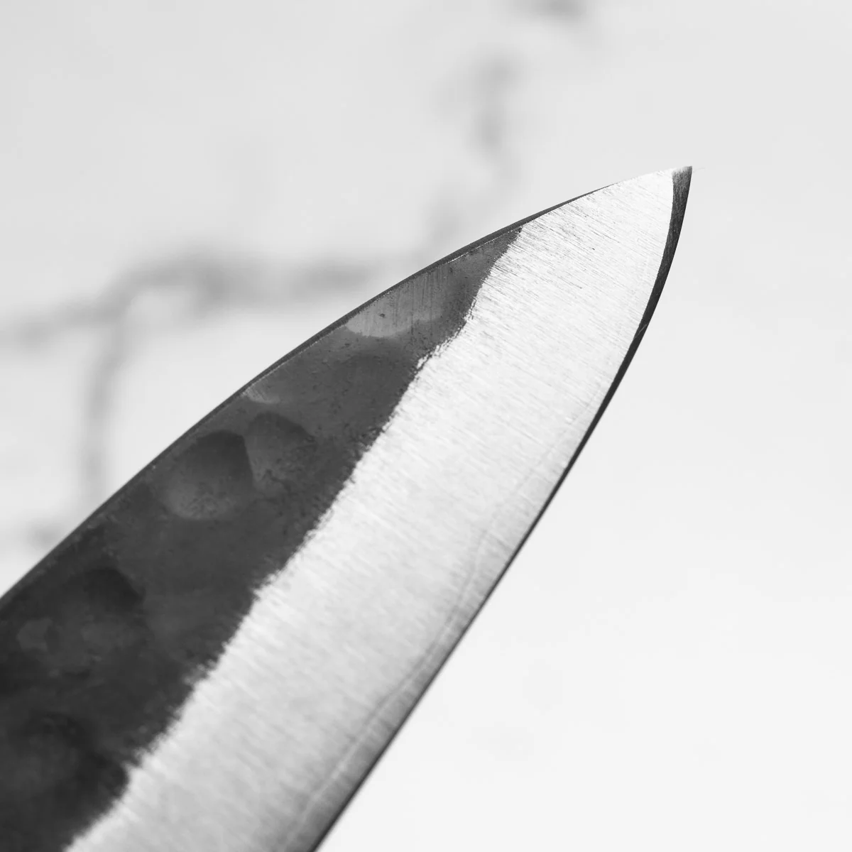 Teruyasu Fujiwara Denka Petty 120mm - Image 7