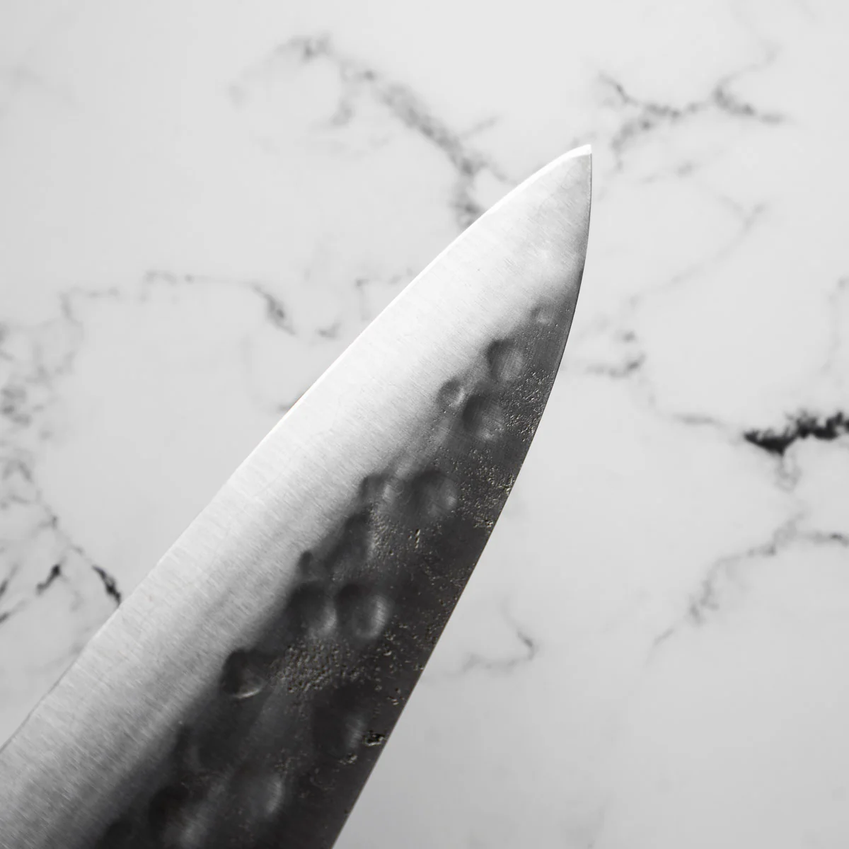 Teruyasu Fujiwara Maboroshi Gyuto 300mm - Image 8